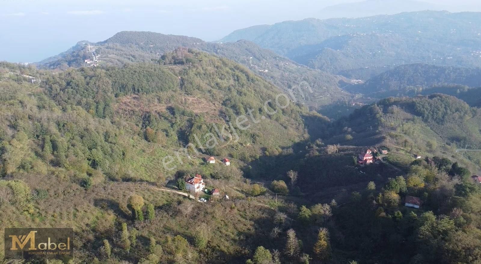 Mabel Gayrimenkul- Perşembe Bolatlı'da Yol Kenarı Fındık Bahçesi - Görsel 6