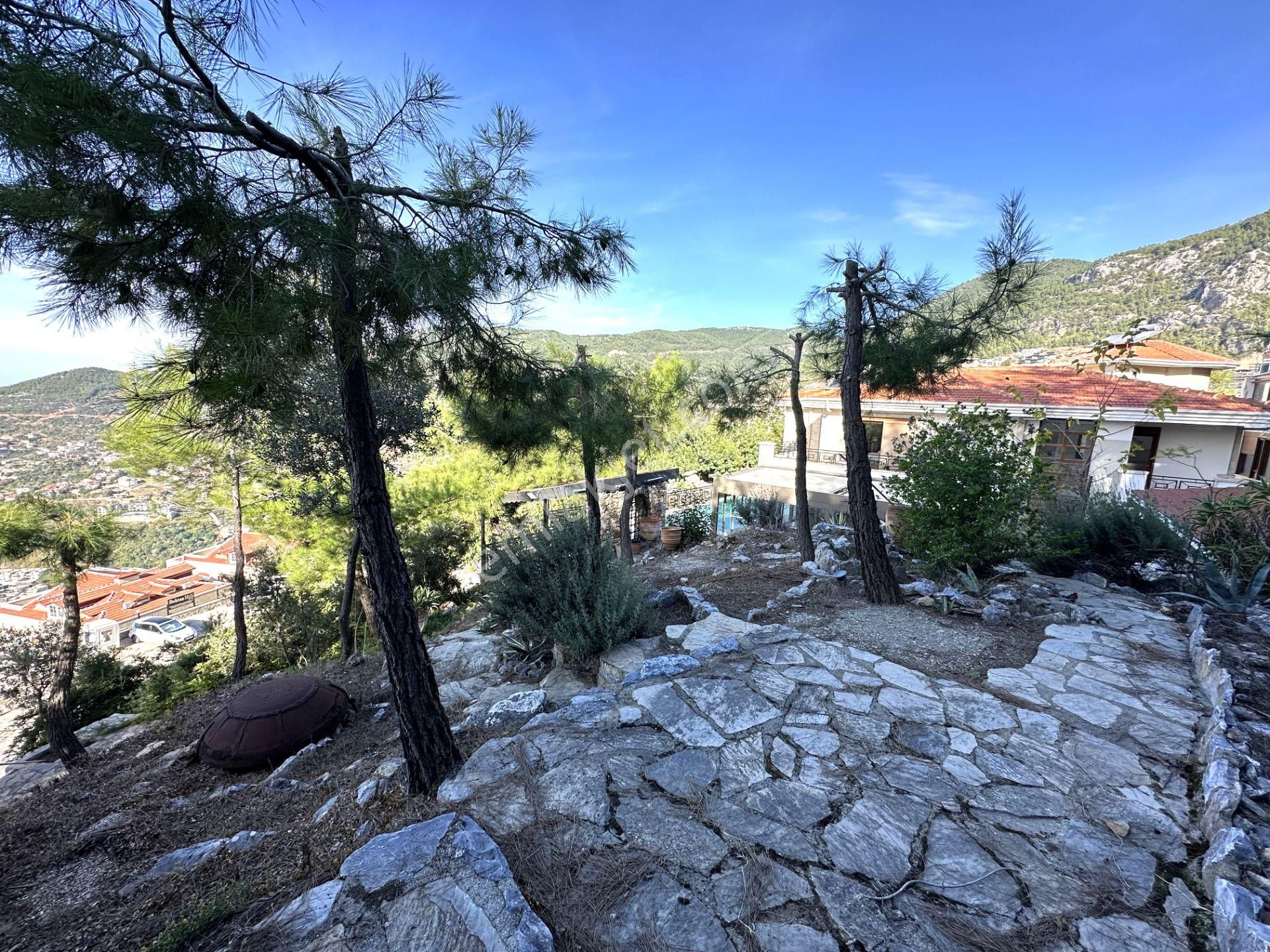 Europerty Homes'tan Alanya Bektaş'ta Doğanın İçinde 4+1 Villa - Görsel 30