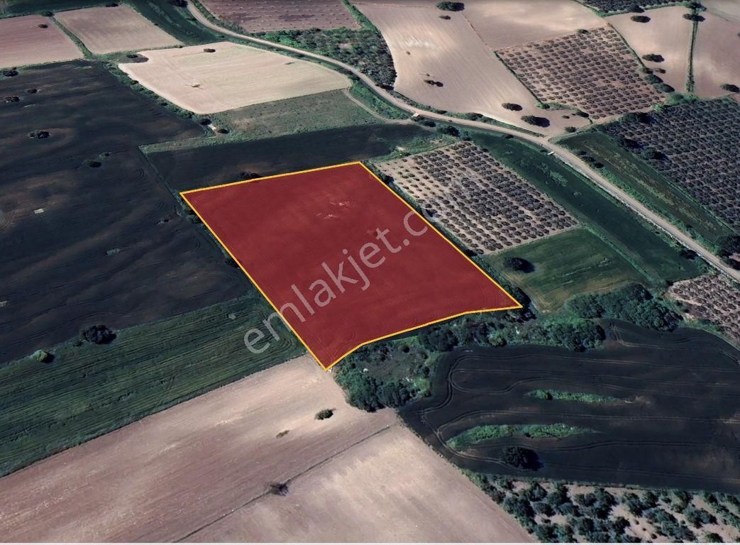 Karacabey Eskikaraağaç Da Göl Manzaralı Satılık Tarla - Görsel 2