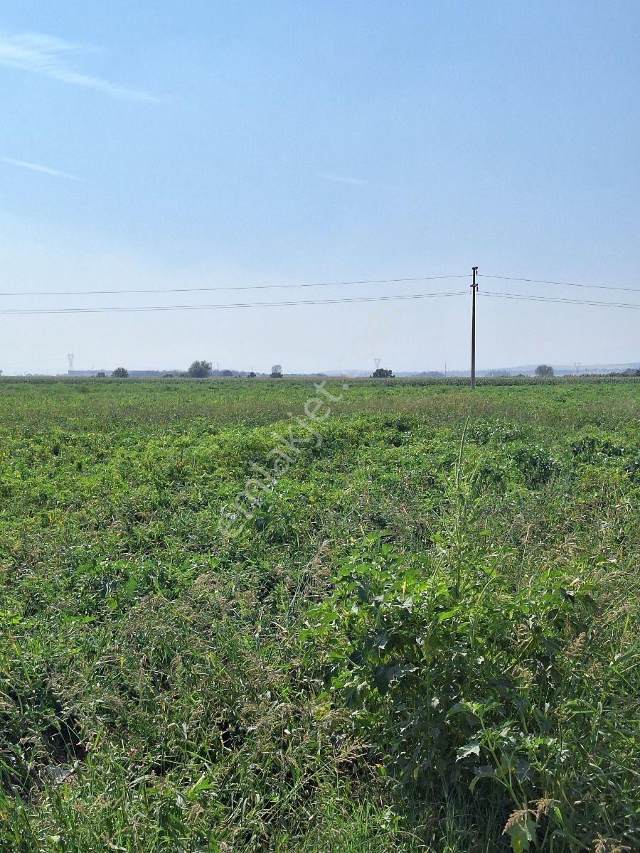 Karacabey Canbalı Da Satılık Yatırımlık Arazi - Görsel 9