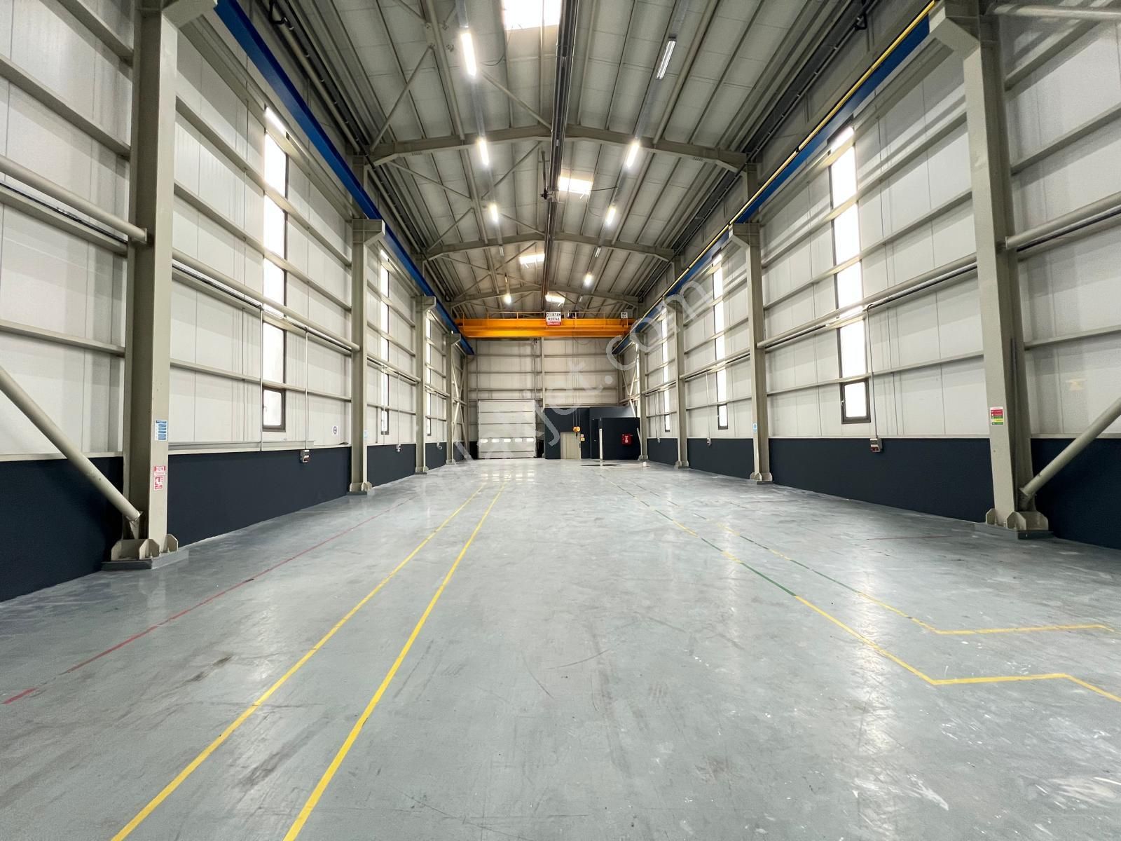 Dilovası Kobi Osb'de Kullanıma Hazır 2250 M2+epoksin+radyan+630 Kwa+vinçli Fabrika - Görsel 20