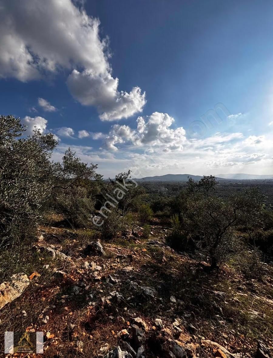 Torbalı Dirmil Köyünde Satılık 3125m2 Fırsat Arsa - Görsel 6