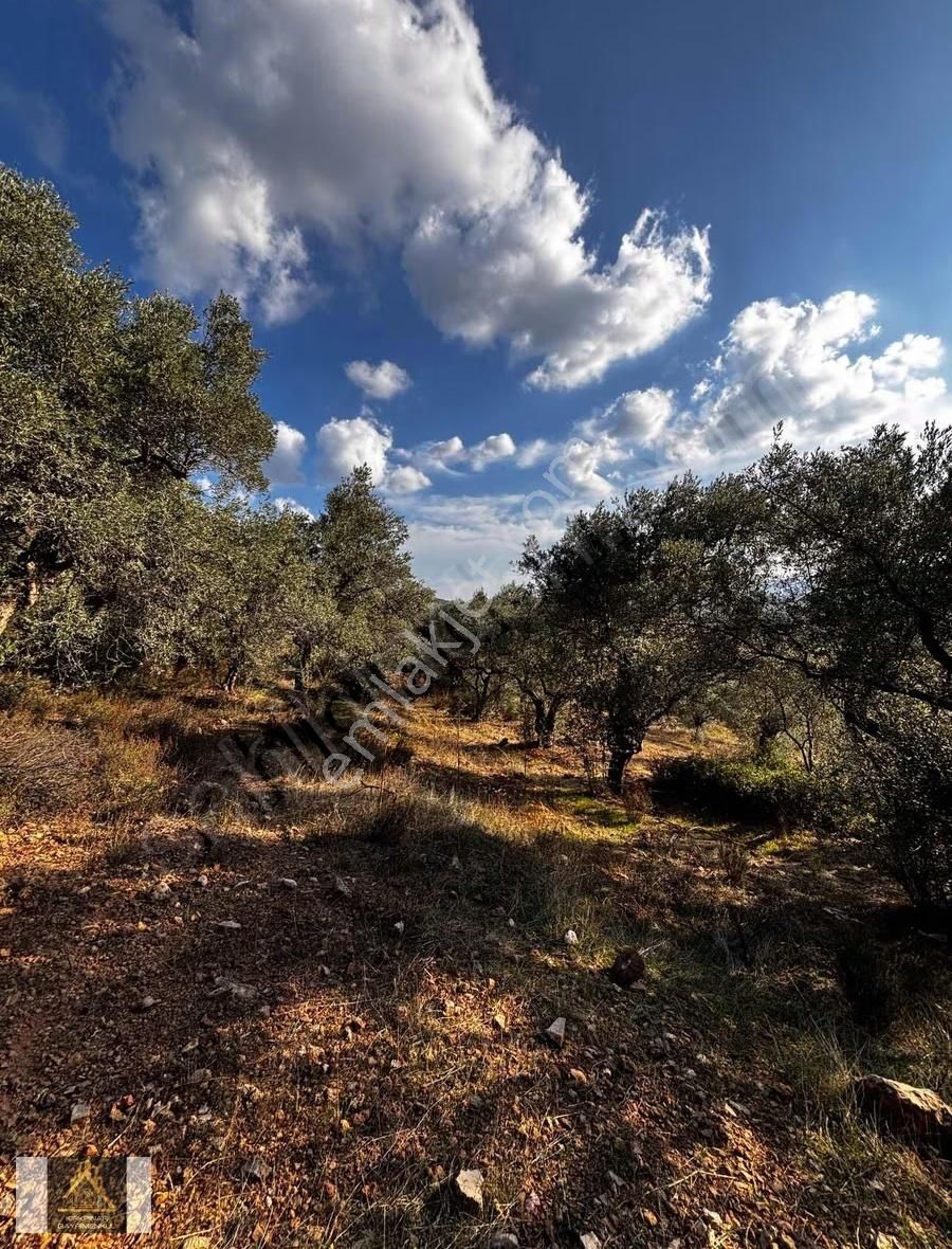 Torbalı Dirmil Köyünde Satılık 3125m2 Fırsat Arsa - Görsel 4