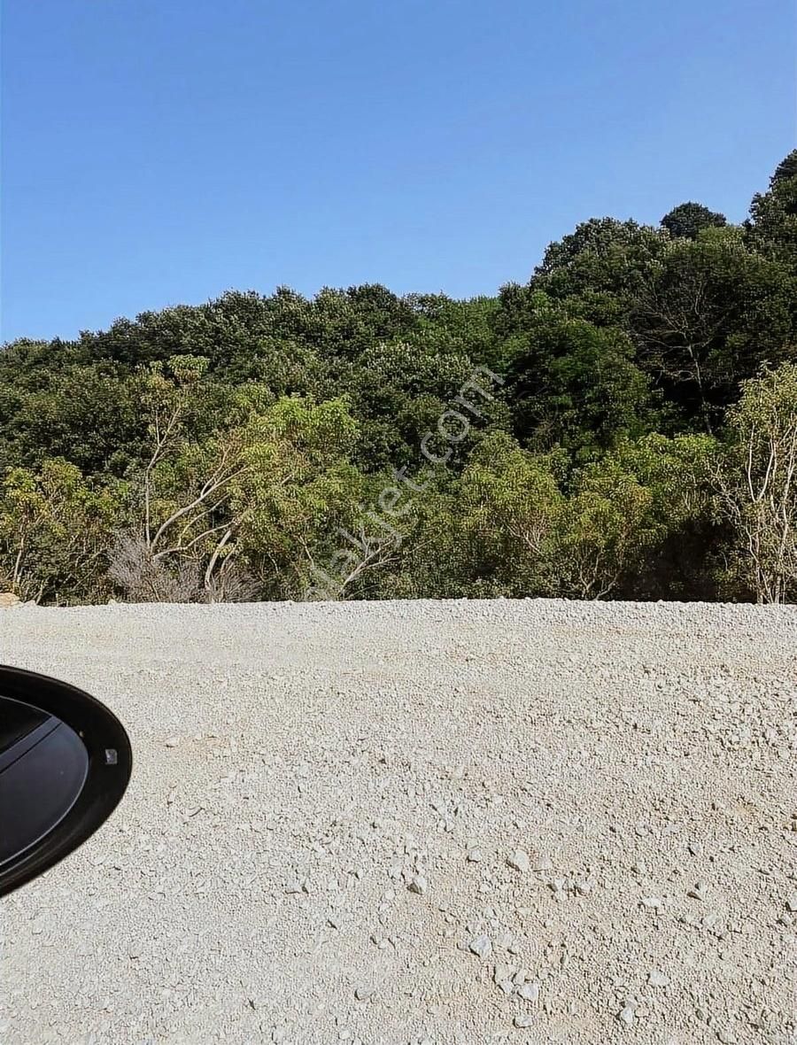 İsminar Gayrimenkul Den Uluabat Gölü Ayva Köyünden Tarlalar - Görsel 17