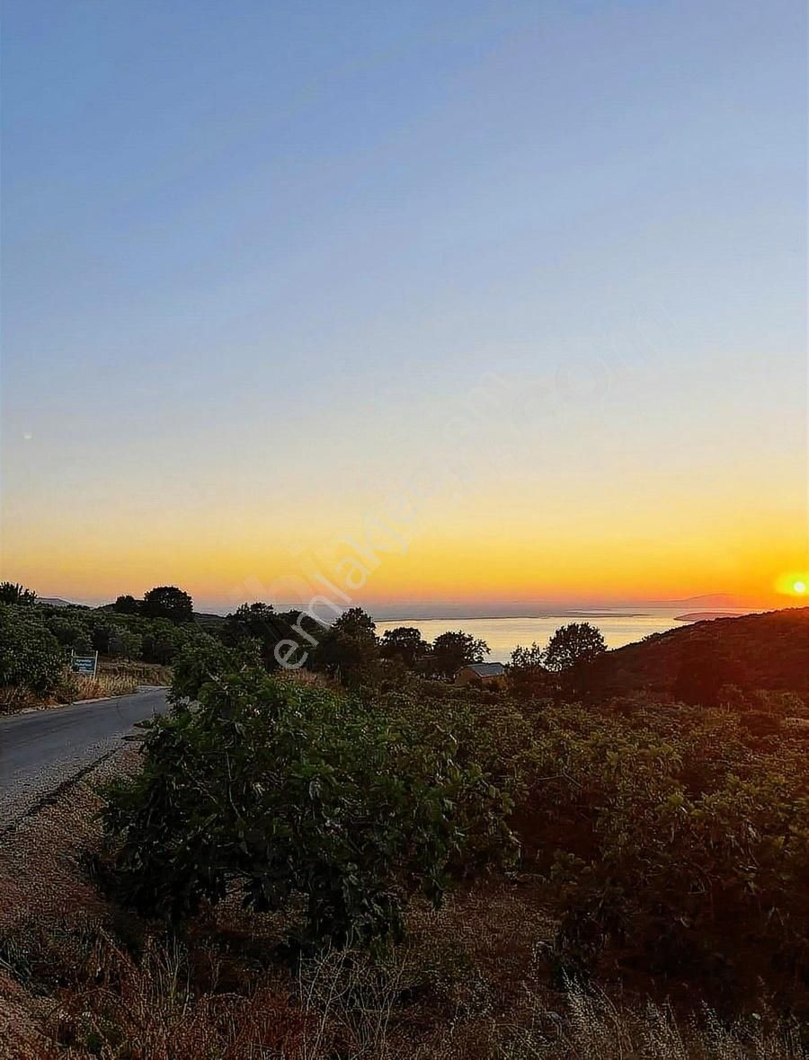 İsminar Gayrimenkul Den Uluabat Gölü Ayva Köyünden Tarlalar - Görsel 6