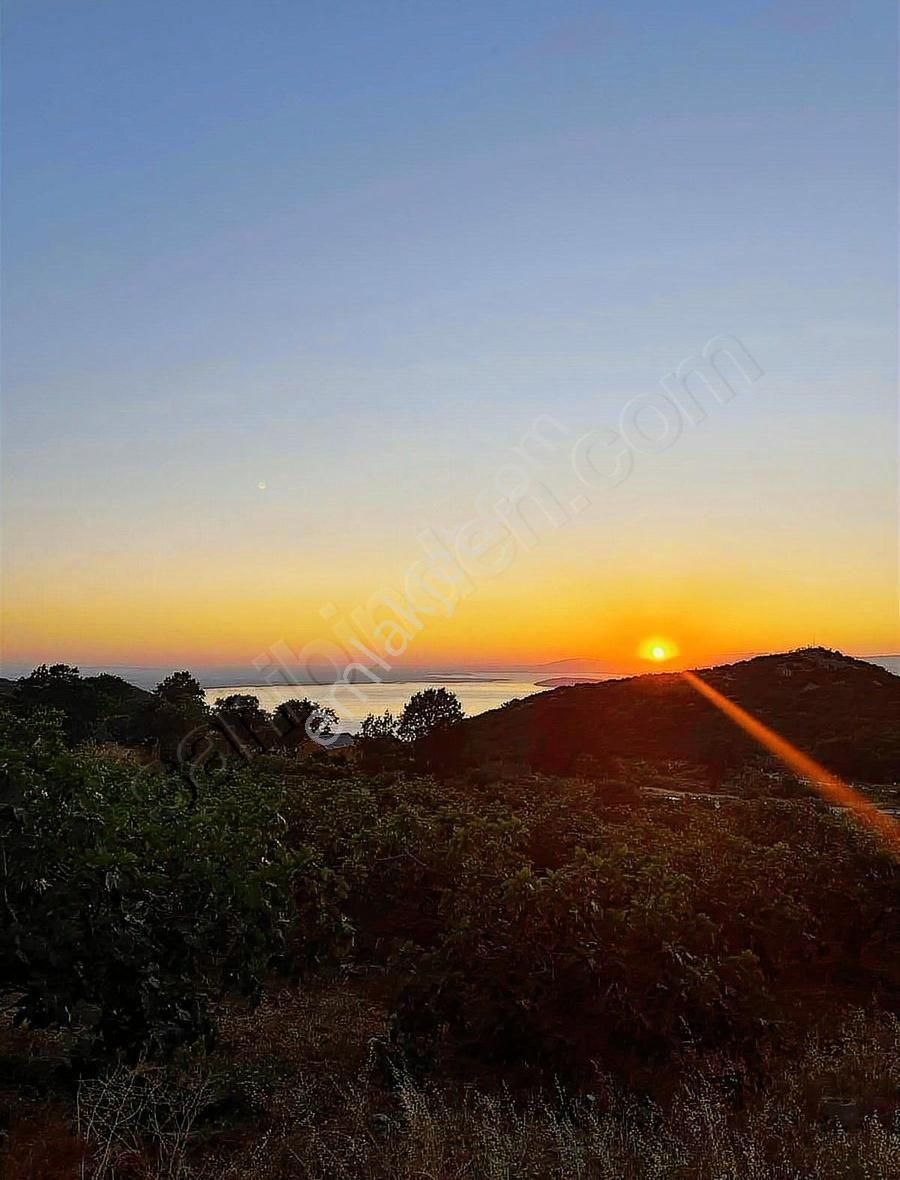 İsminar Gayrimenkul Den Uluabat Gölü Ayva Köyünden Tarlalar - Görsel 23