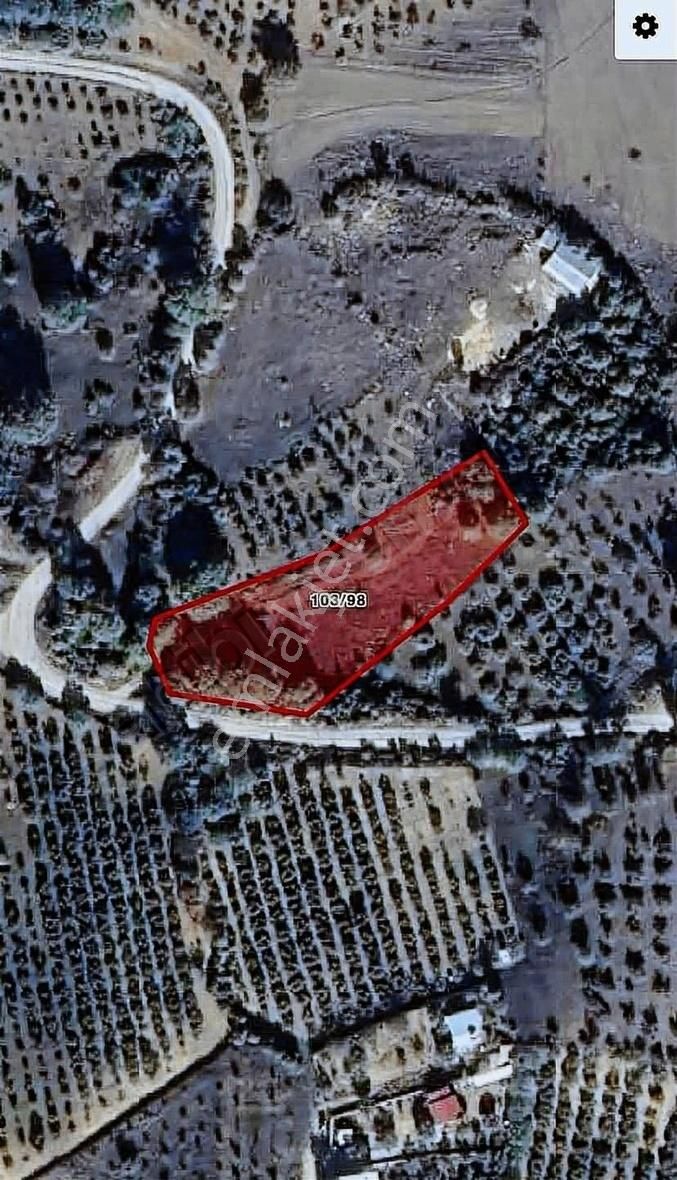 İsminar Gayrimenkul Den Uluabat Gölü Ayva Köyünden Tarlalar - Görsel 5