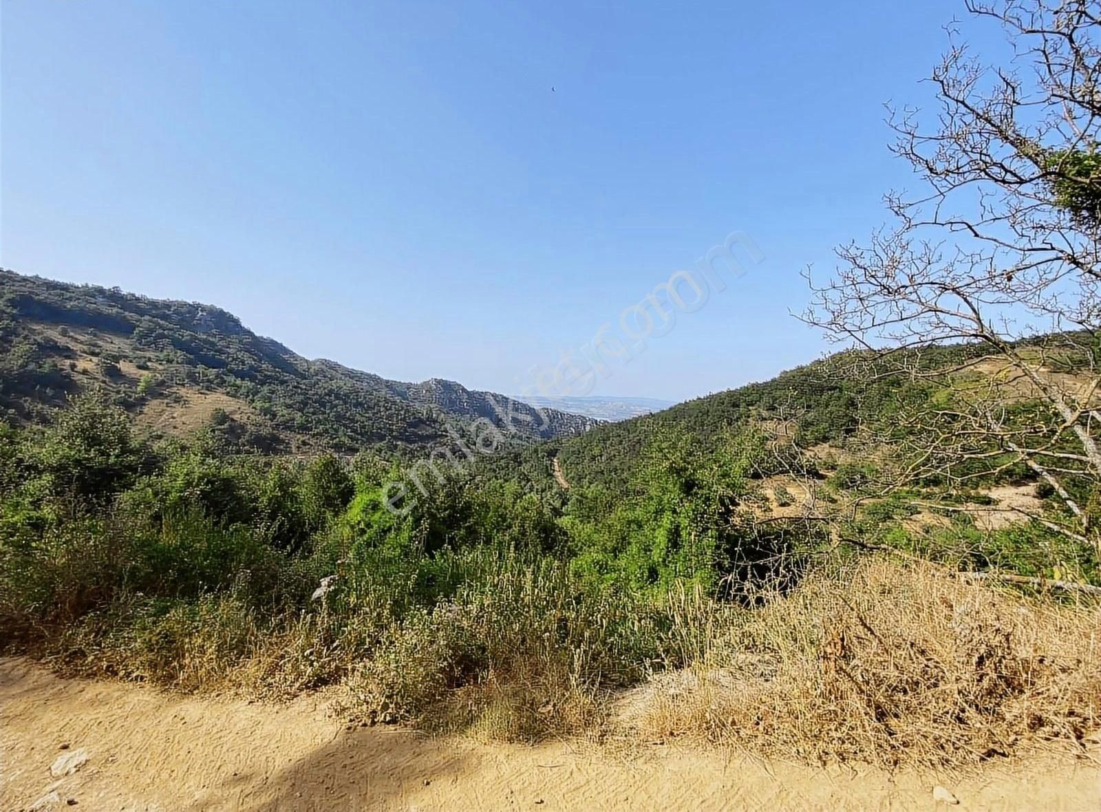 İsminar Gayrimenkul Den Uluabat Gölü Ayva Köyünden Tarlalar - Görsel 27