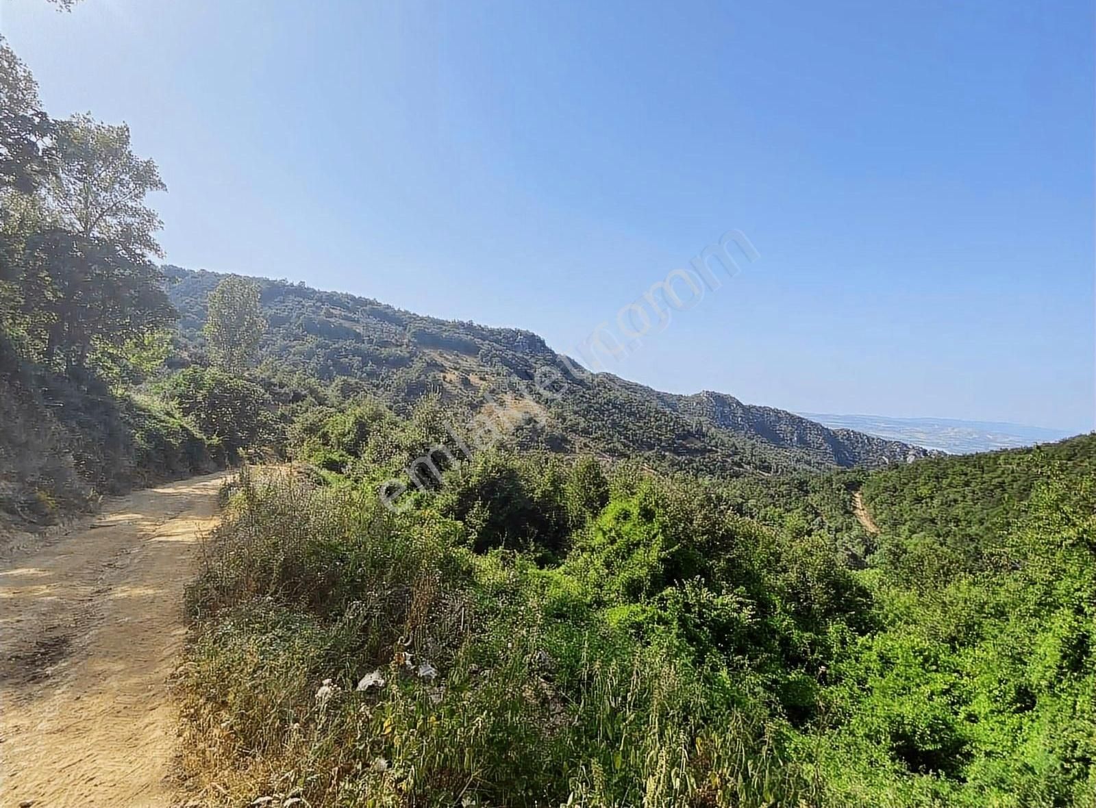 İsminar Gayrimenkul Den Uluabat Gölü Ayva Köyünden Tarlalar - Görsel 22