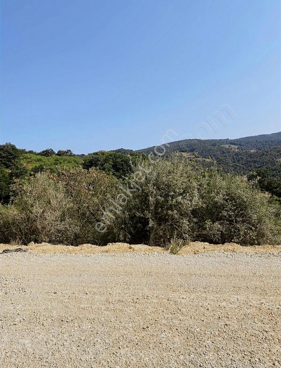 İsminar Gayrimenkul Den Uluabat Gölü Ayva Köyünden Tarlalar - Görsel 14