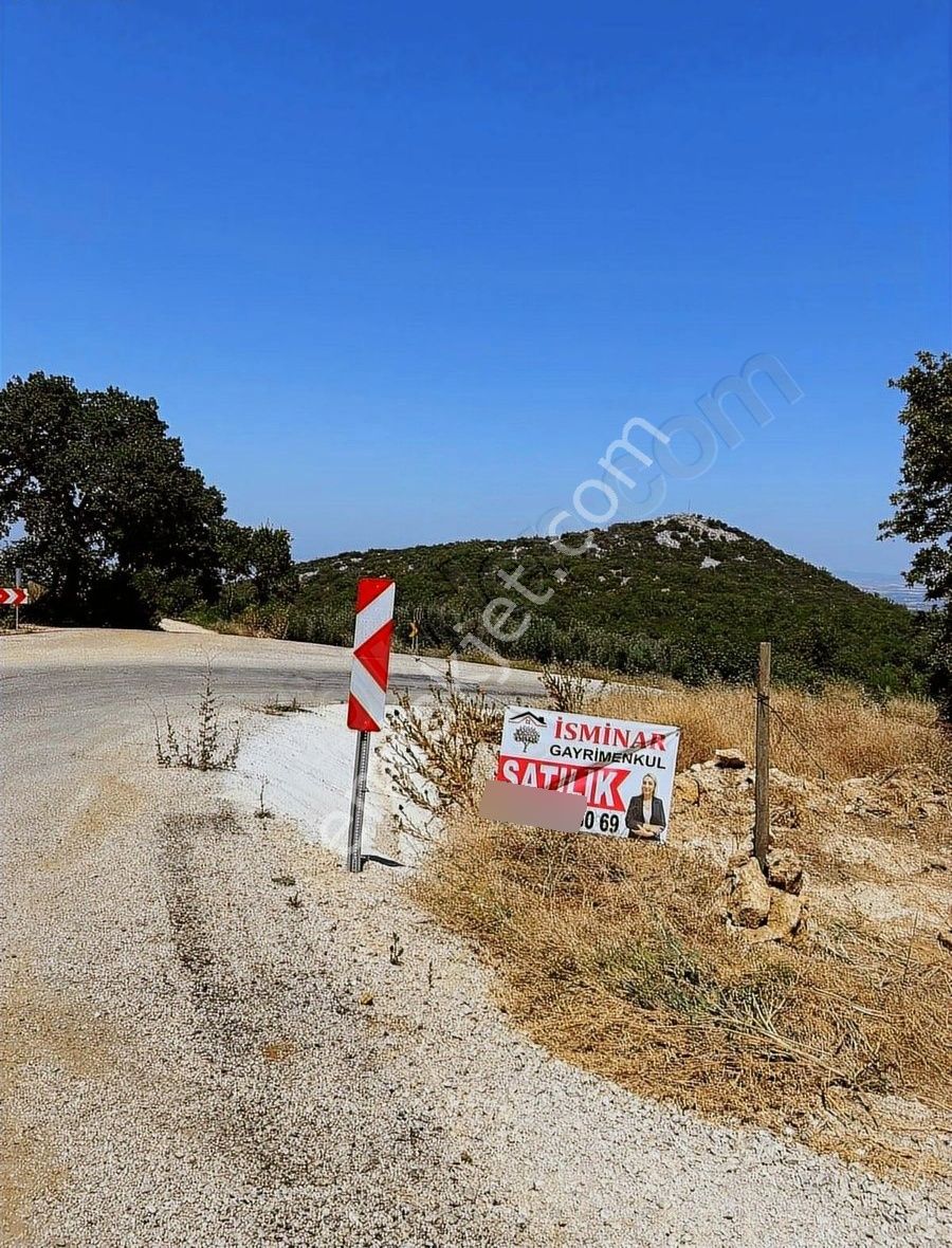İsminar Gayrimenkul Den Uluabat Gölü Ayva Köyünden Tarlalar - Görsel 21