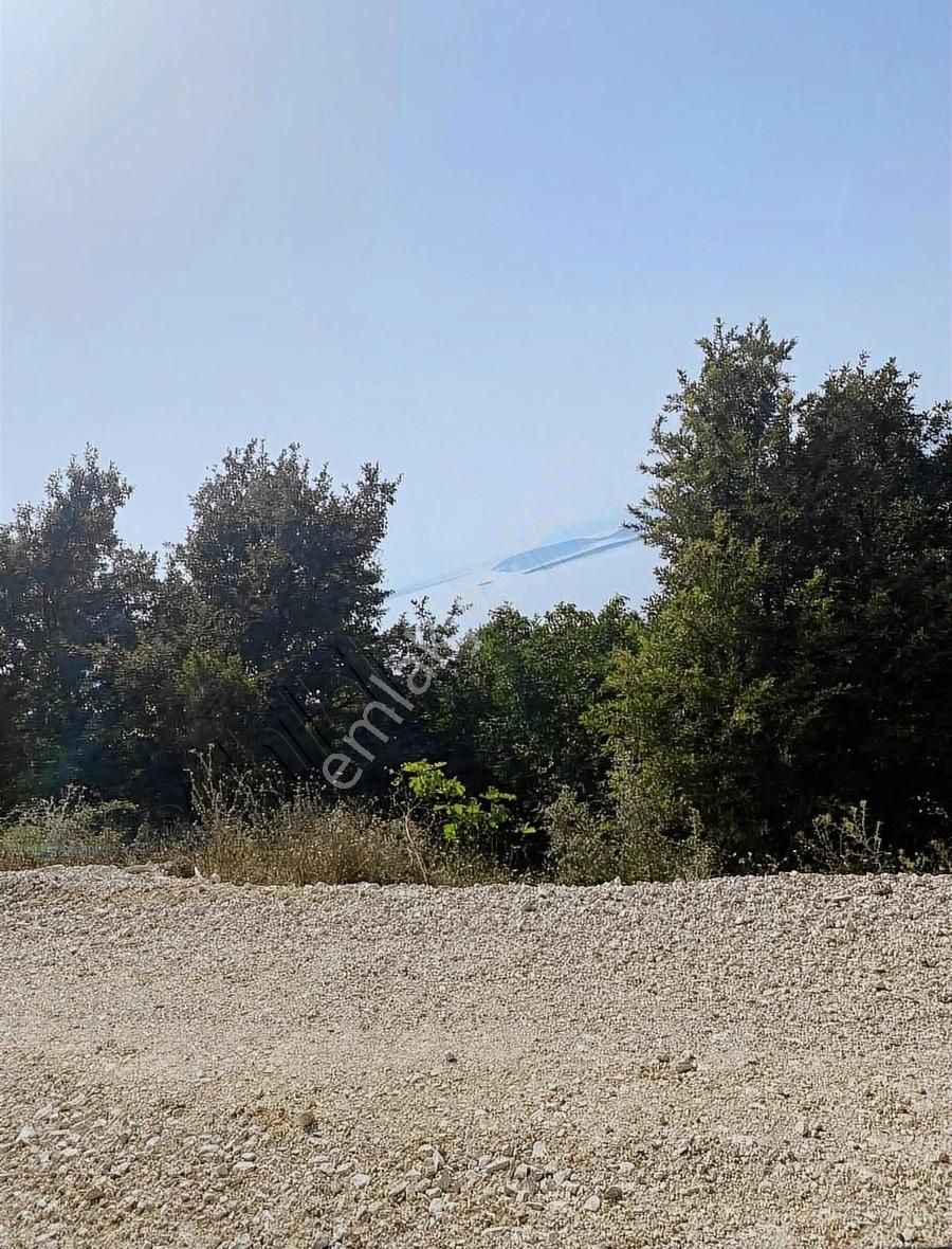 İsminar Gayrimenkul Den Uluabat Gölü Ayva Köyünden Tarlalar - Görsel 20