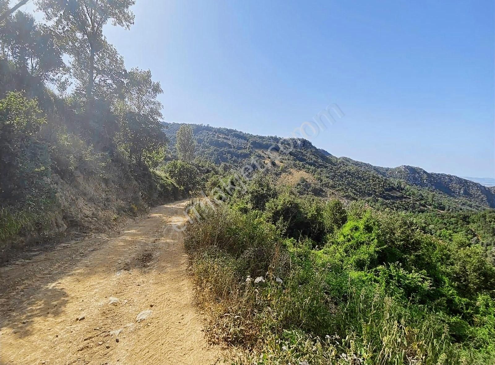 İsminar Gayrimenkul Den Uluabat Gölü Ayva Köyünden Tarlalar - Görsel 10