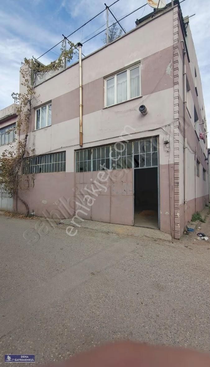 Deha'dan Küçük Balıklı Da 200 M2 Kiralik Dükkan - Görsel 4