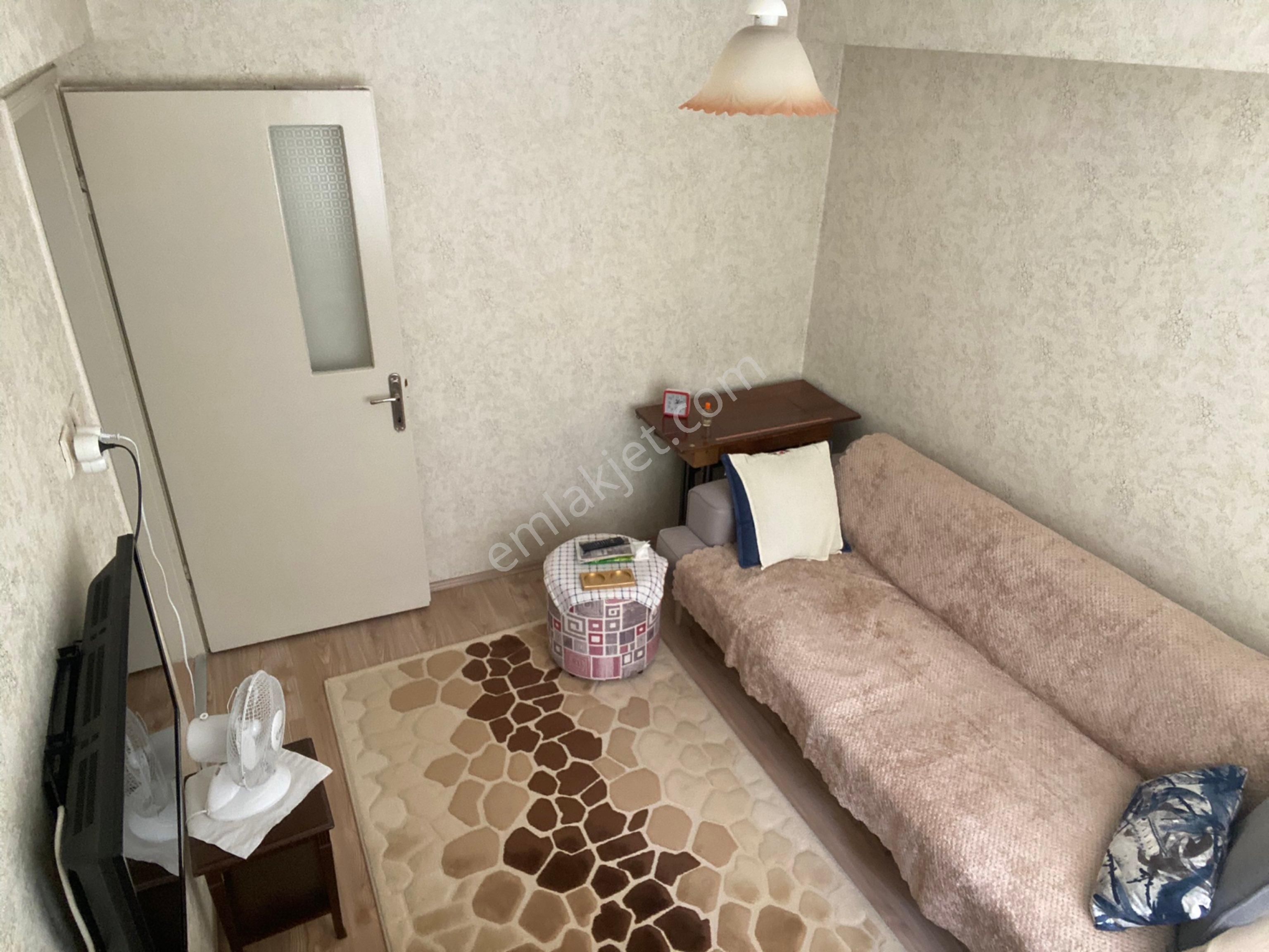 Mudanya Yalıçiftlik De Zeytinlik - Görsel 3
