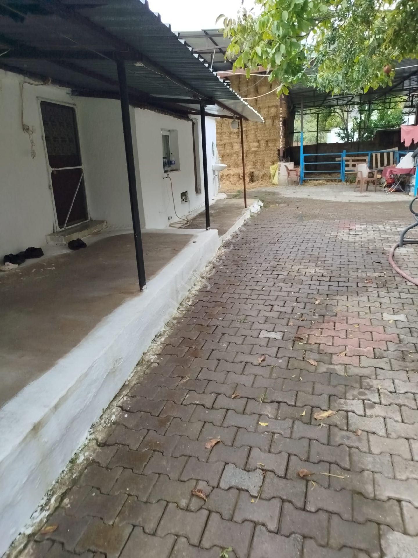 Satılık Müstakil Köy Evi - Görsel 2