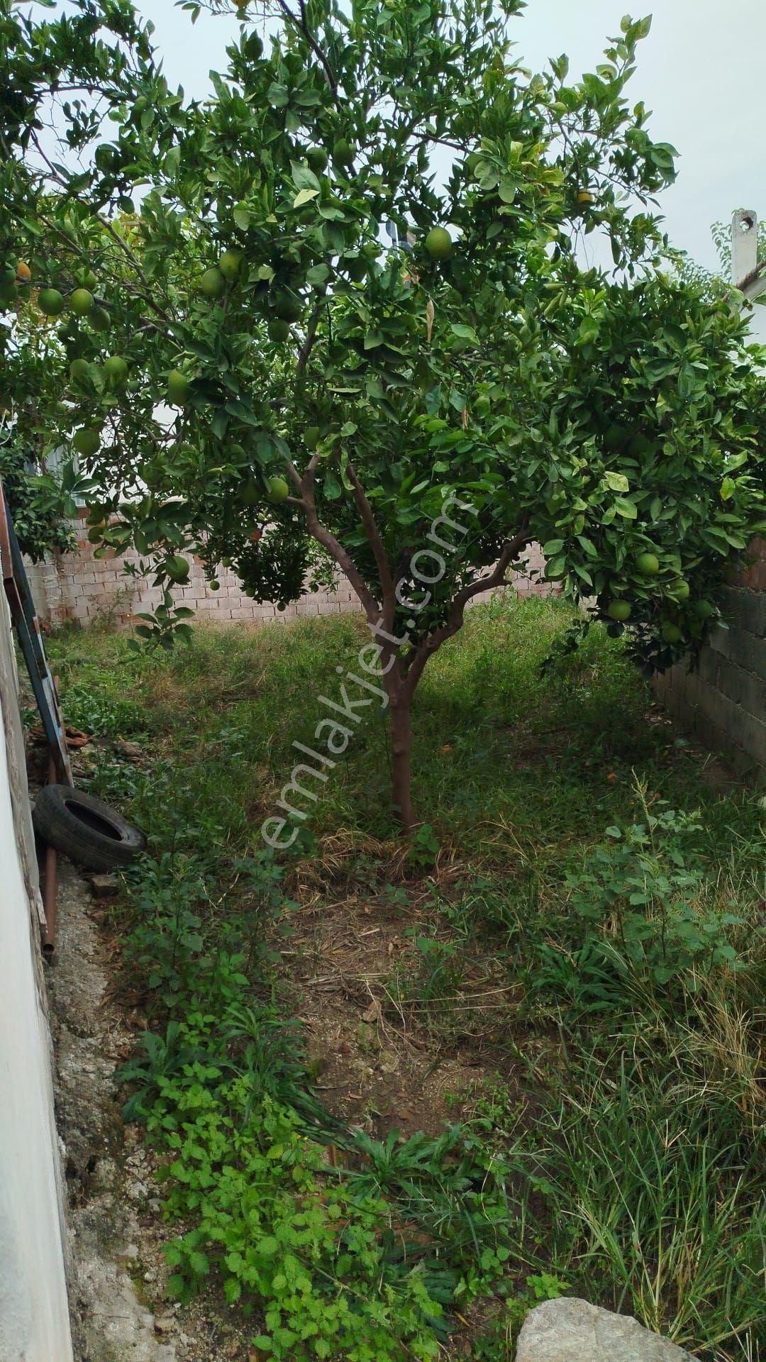 Satılık Müstakil Köy Evi - Görsel 27