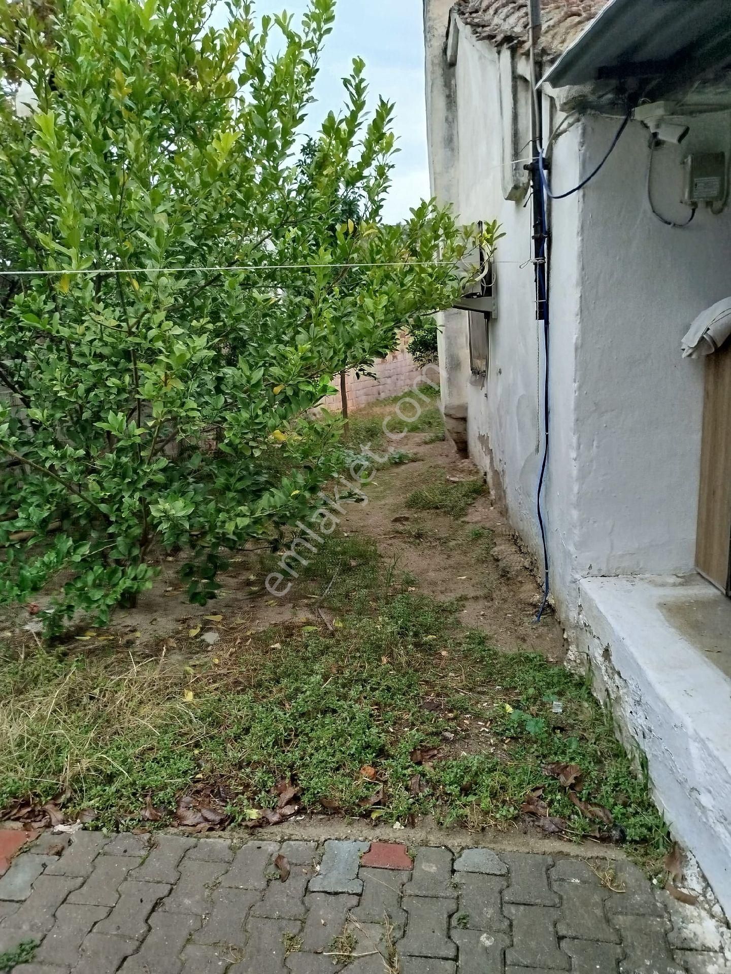 Satılık Müstakil Köy Evi - Görsel 5
