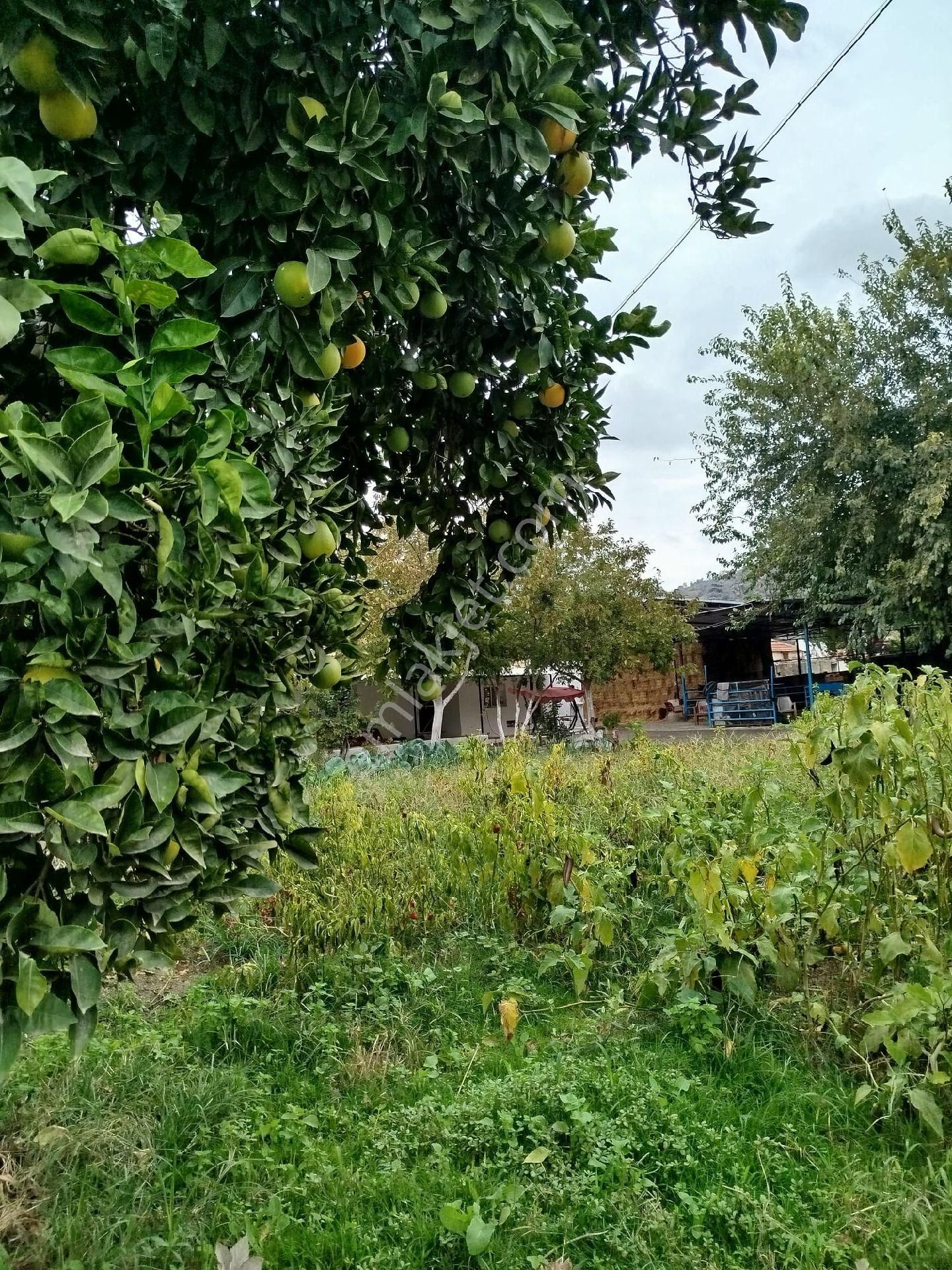 Satılık Müstakil Köy Evi - Görsel 11