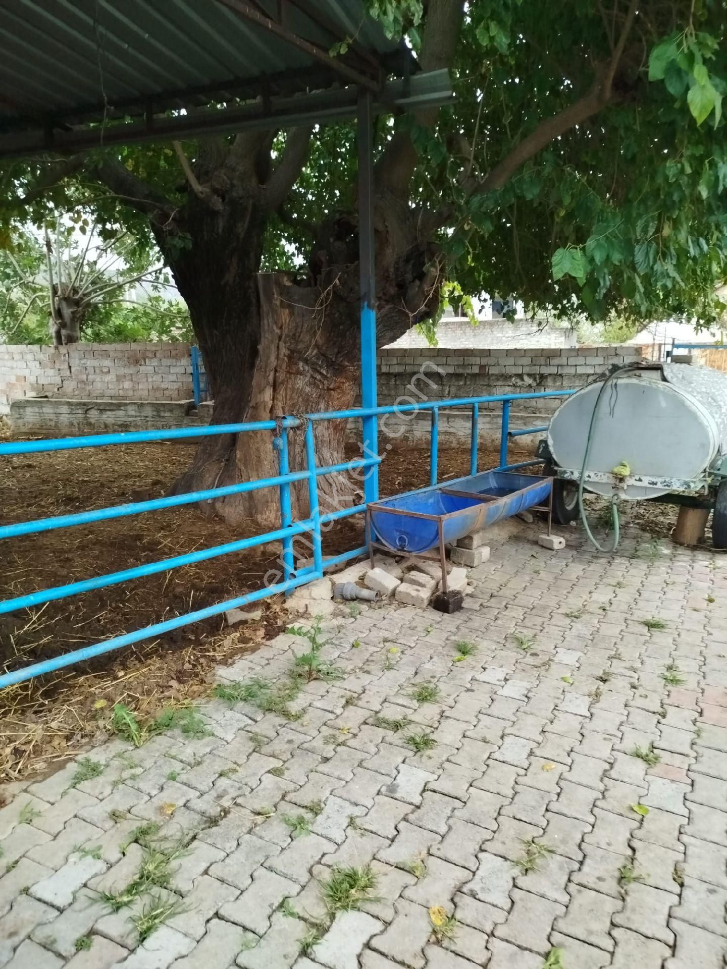 Satılık Müstakil Köy Evi - Görsel 19