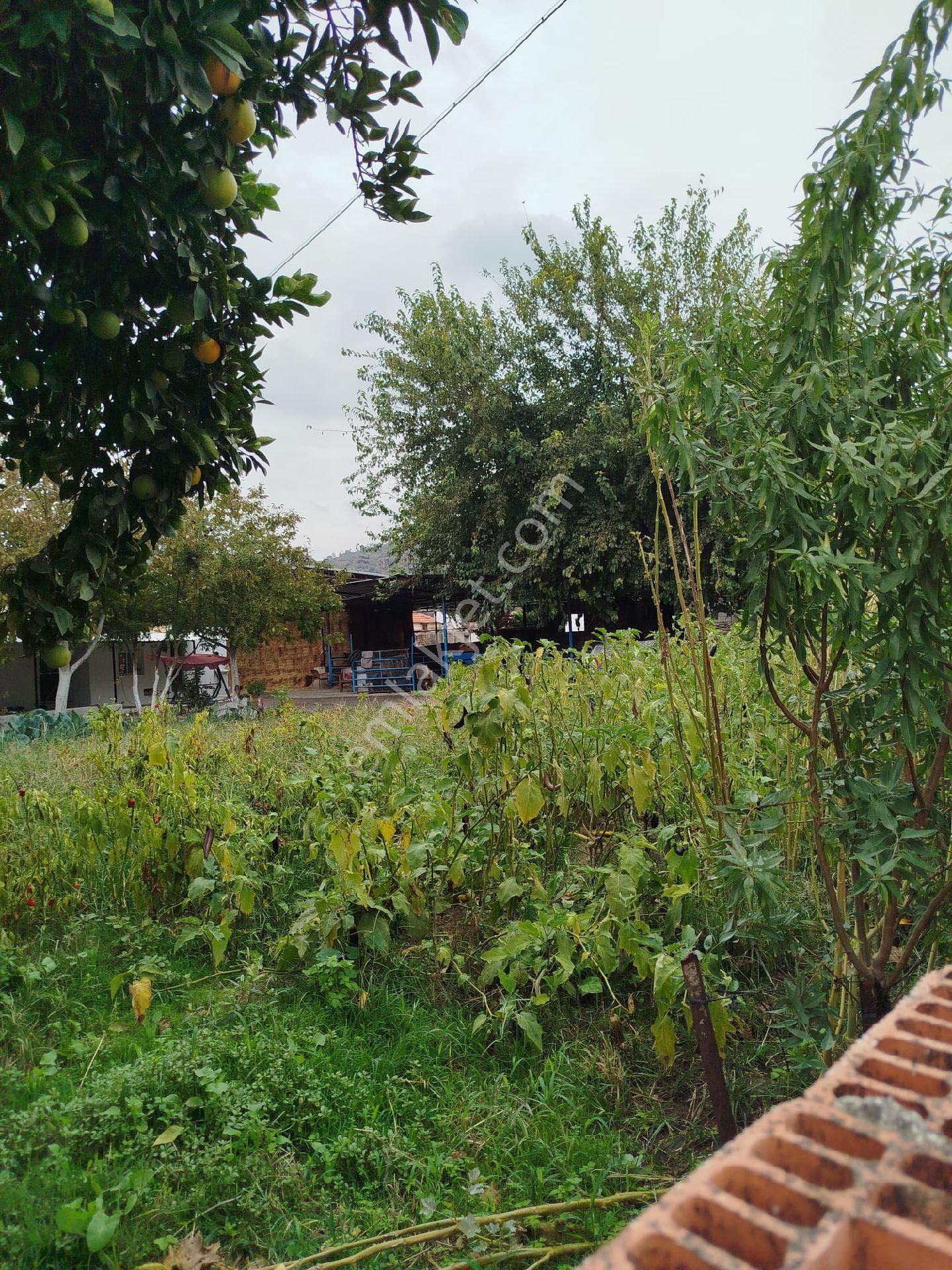 Satılık Müstakil Köy Evi - Görsel 8