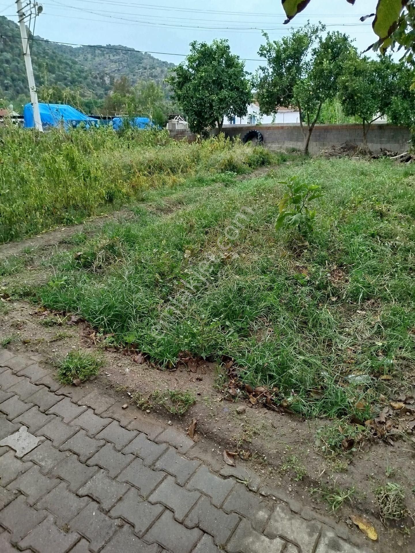 Satılık Müstakil Köy Evi - Görsel 22