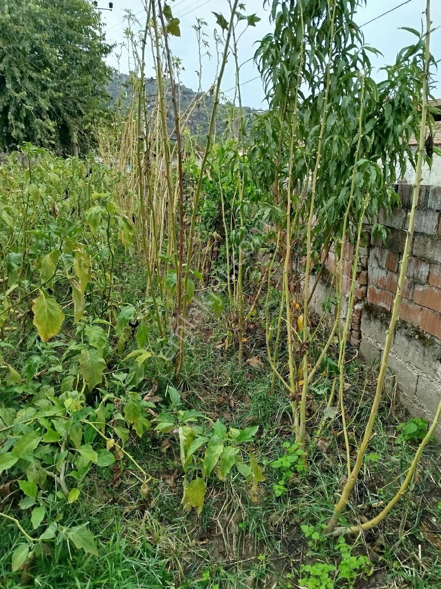 Satılık Müstakil Köy Evi - Görsel 14