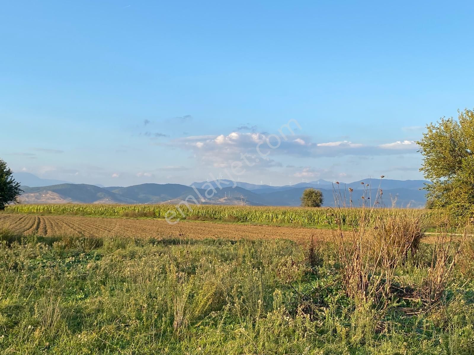 Pek Emlaktan Hasköyde Elektrik Ve Sondaj Suyu Olan 7328 M2 Satılık Tarla - Görsel 4