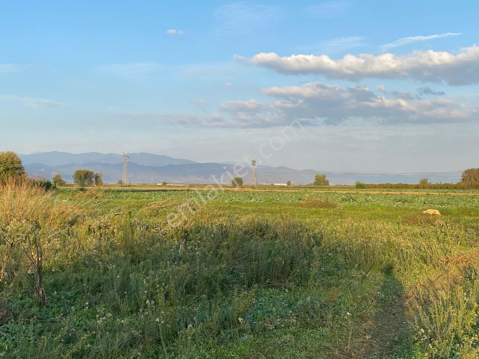 Pek Emlaktan Hasköyde Elektrik Ve Sondaj Suyu Olan 7328 M2 Satılık Tarla - Görsel 10