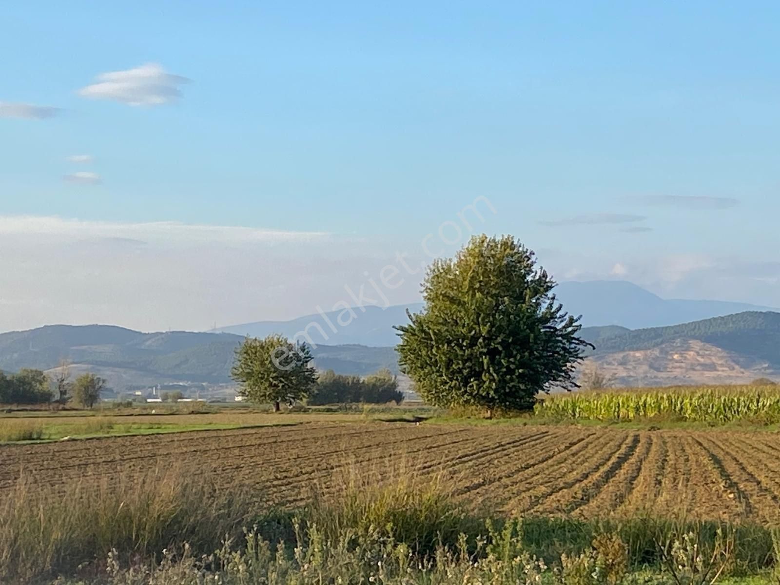 Pek Emlaktan Hasköyde Elektrik Ve Sondaj Suyu Olan 7328 M2 Satılık Tarla - Görsel 8