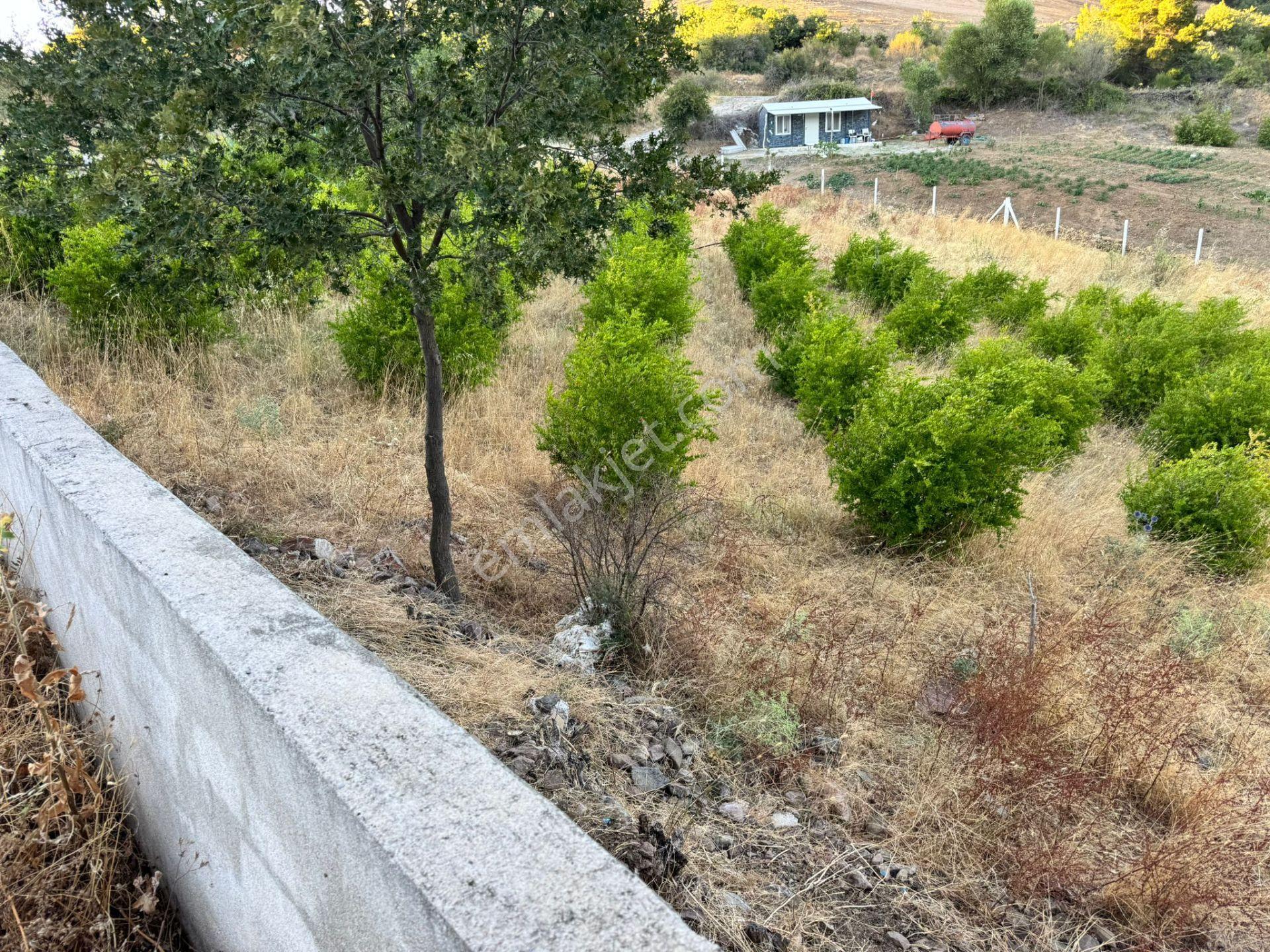 Manisa Soma'da Satılık Tarla - Görsel 20