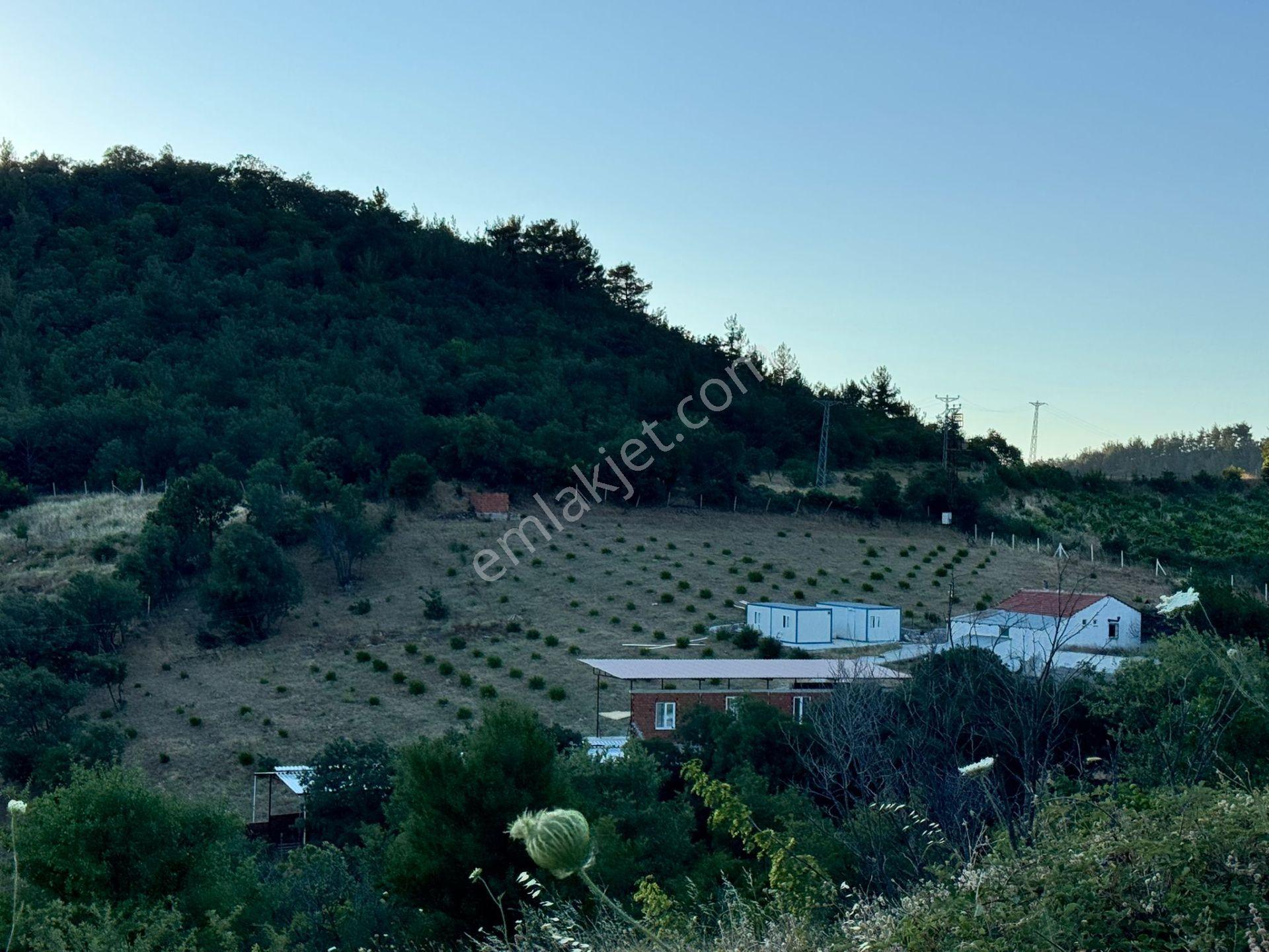 Manisa Soma'da Satılık Tarla - Görsel 28