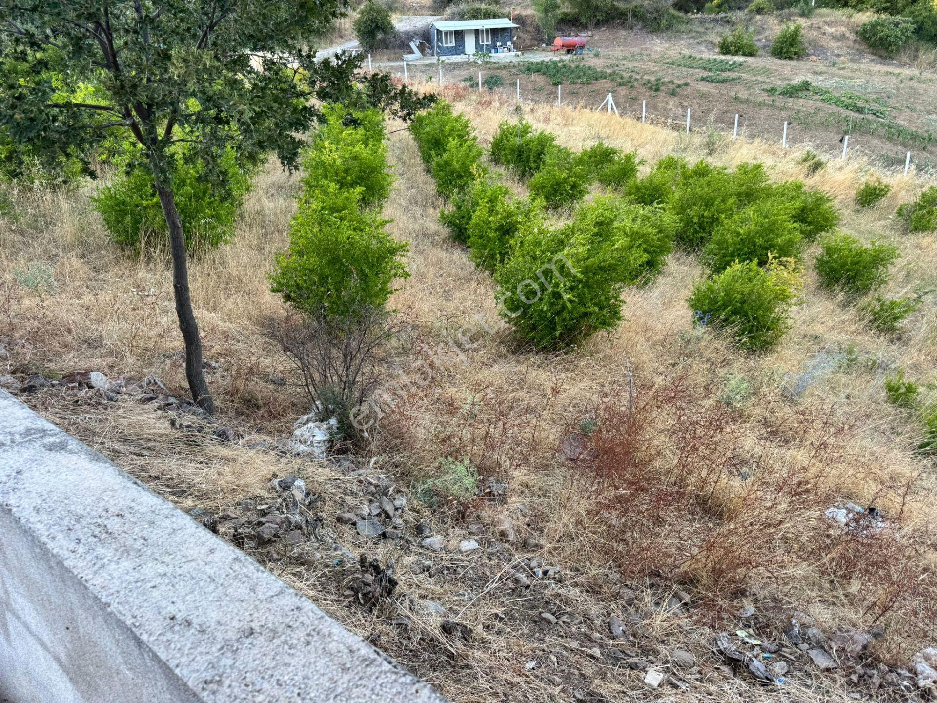 Manisa Soma'da Satılık Tarla - Görsel 21
