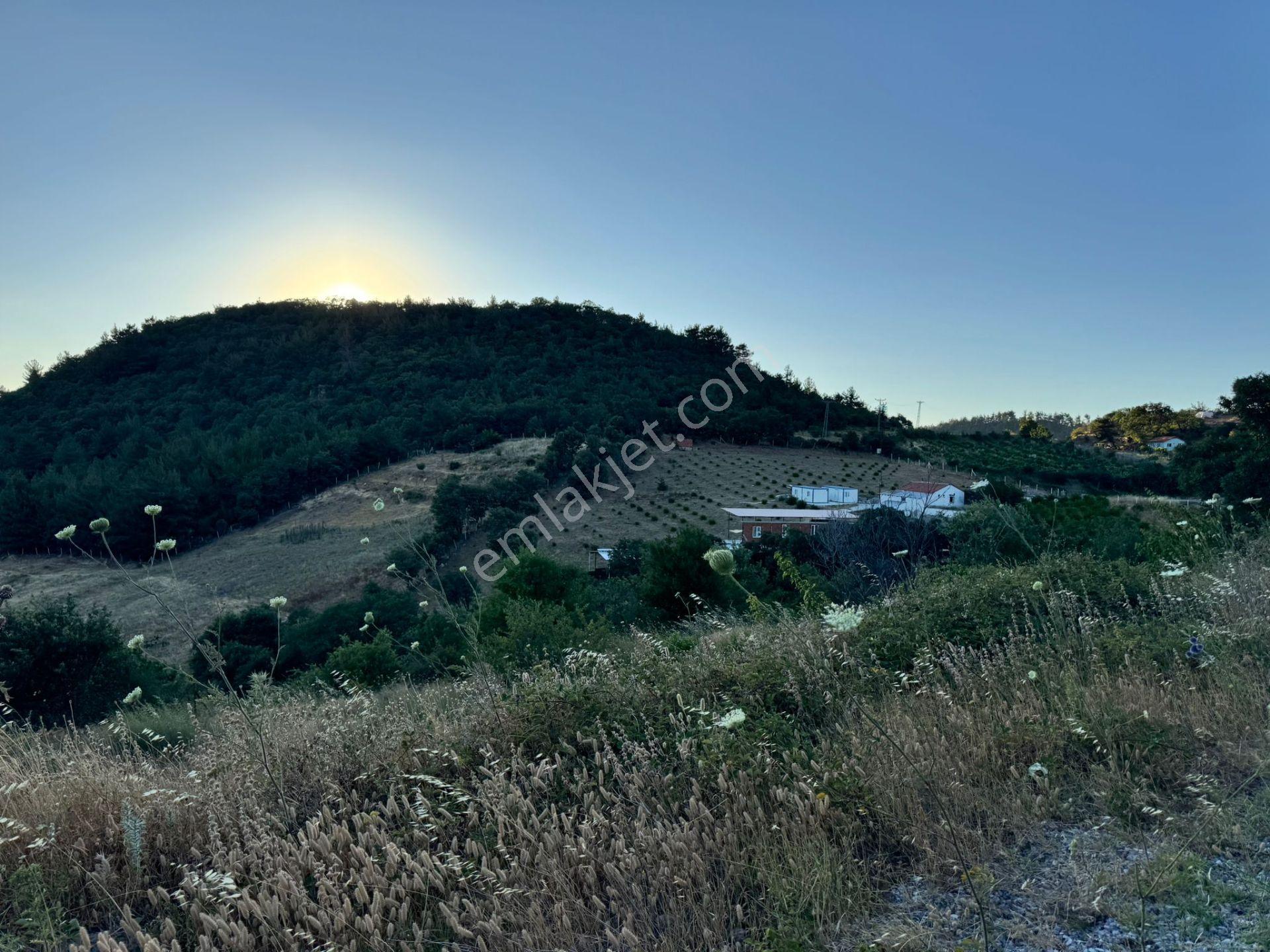 Manisa Soma'da Satılık Tarla - Görsel 26