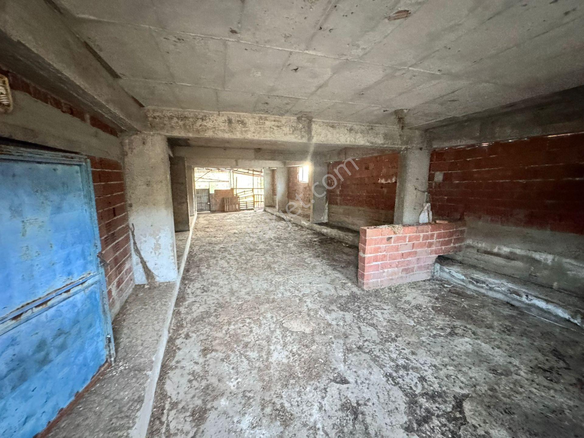 Manisa Soma'da Satılık Tarla - Görsel 11