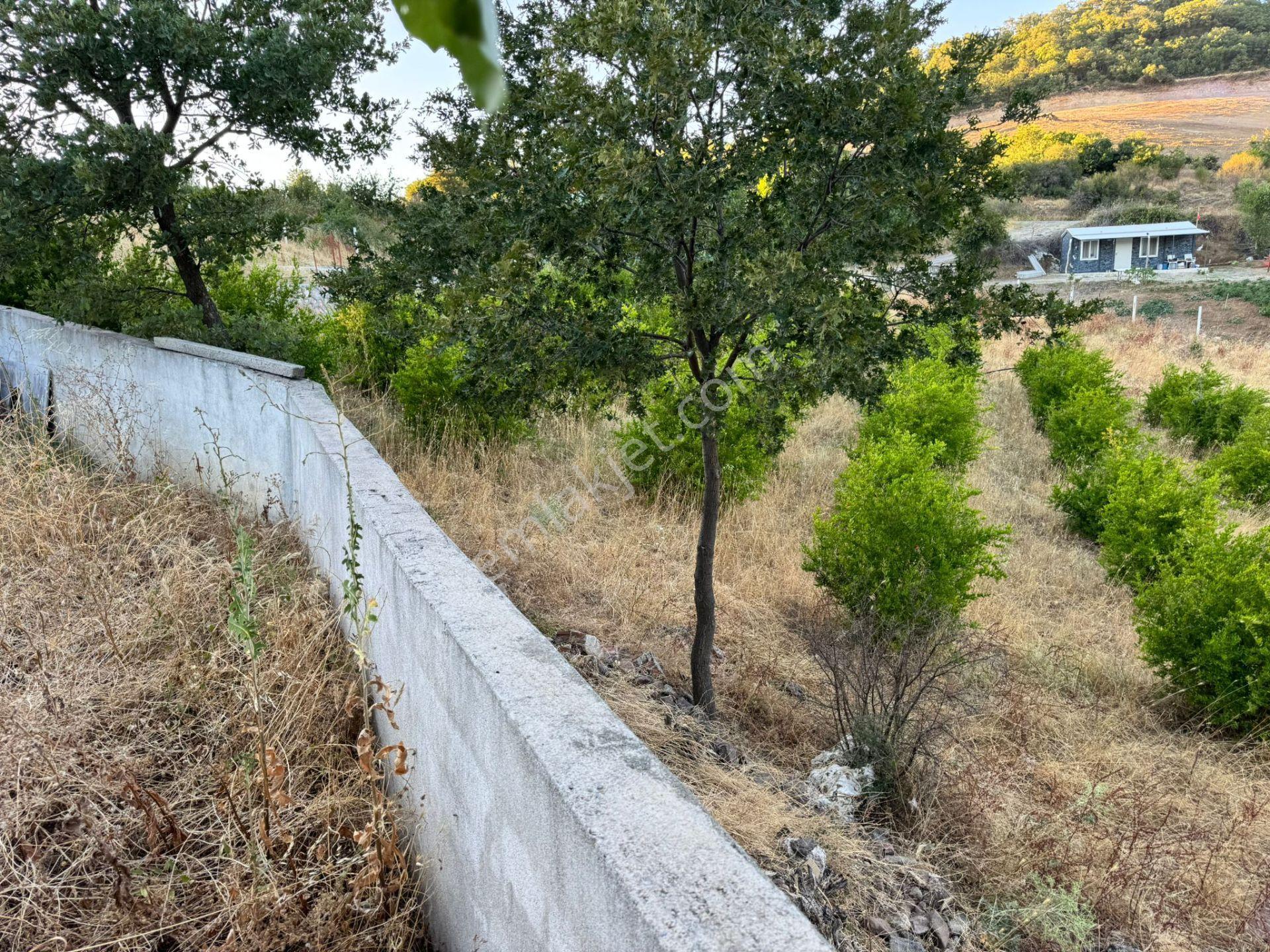 Manisa Soma'da Satılık Tarla - Görsel 19