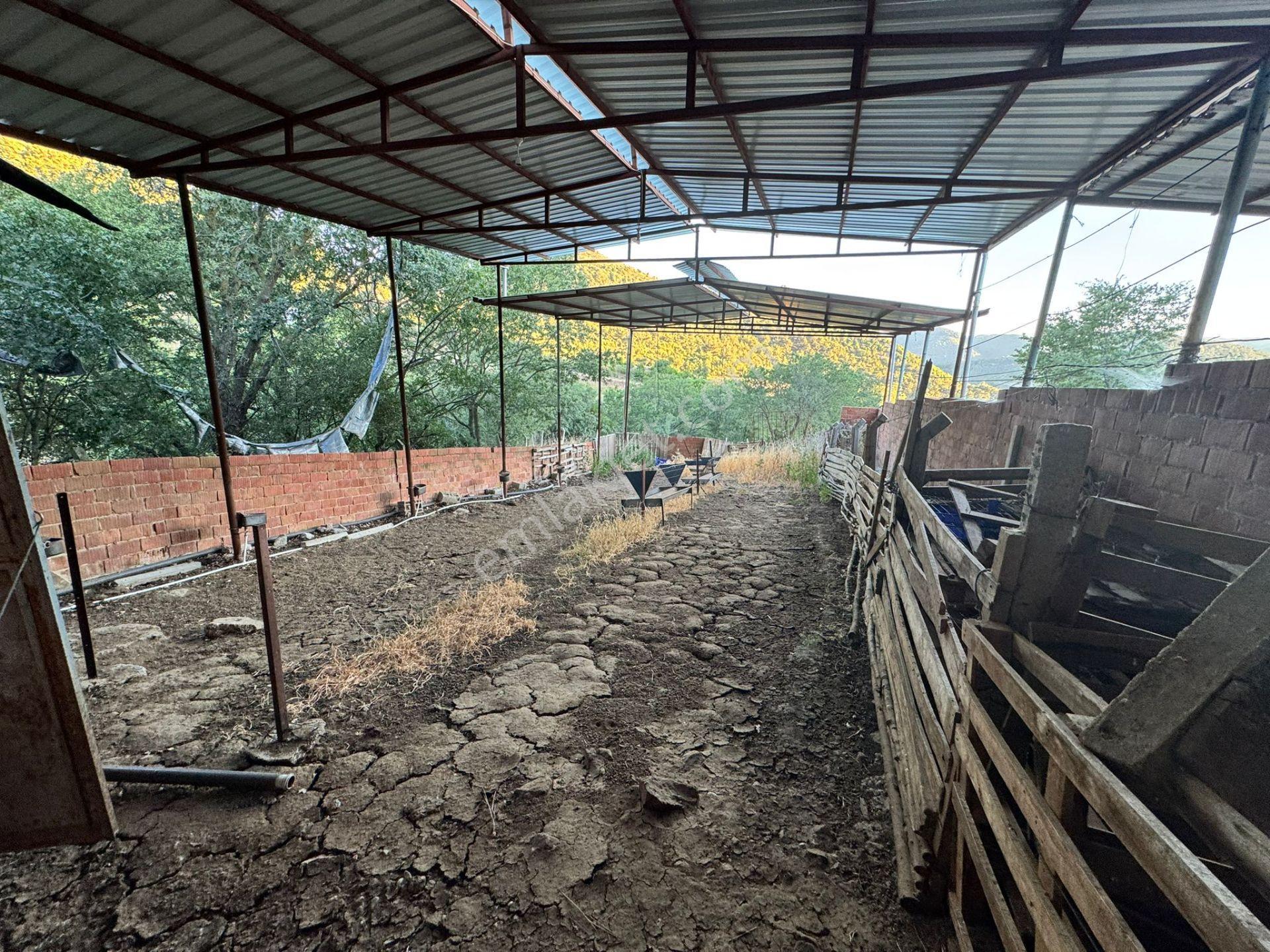 Manisa Soma'da Satılık Tarla - Görsel 6