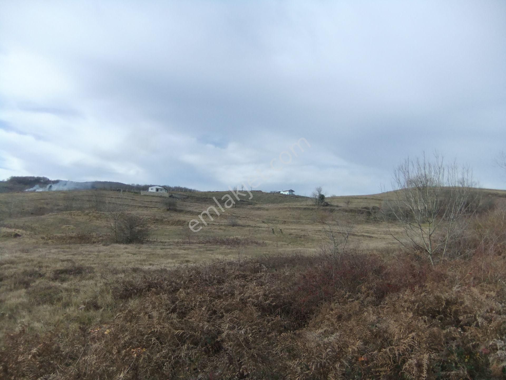 Kandıra/ahmethacılar Köyünde Yatırımlık 2 Adet Tarla. - Görsel 20
