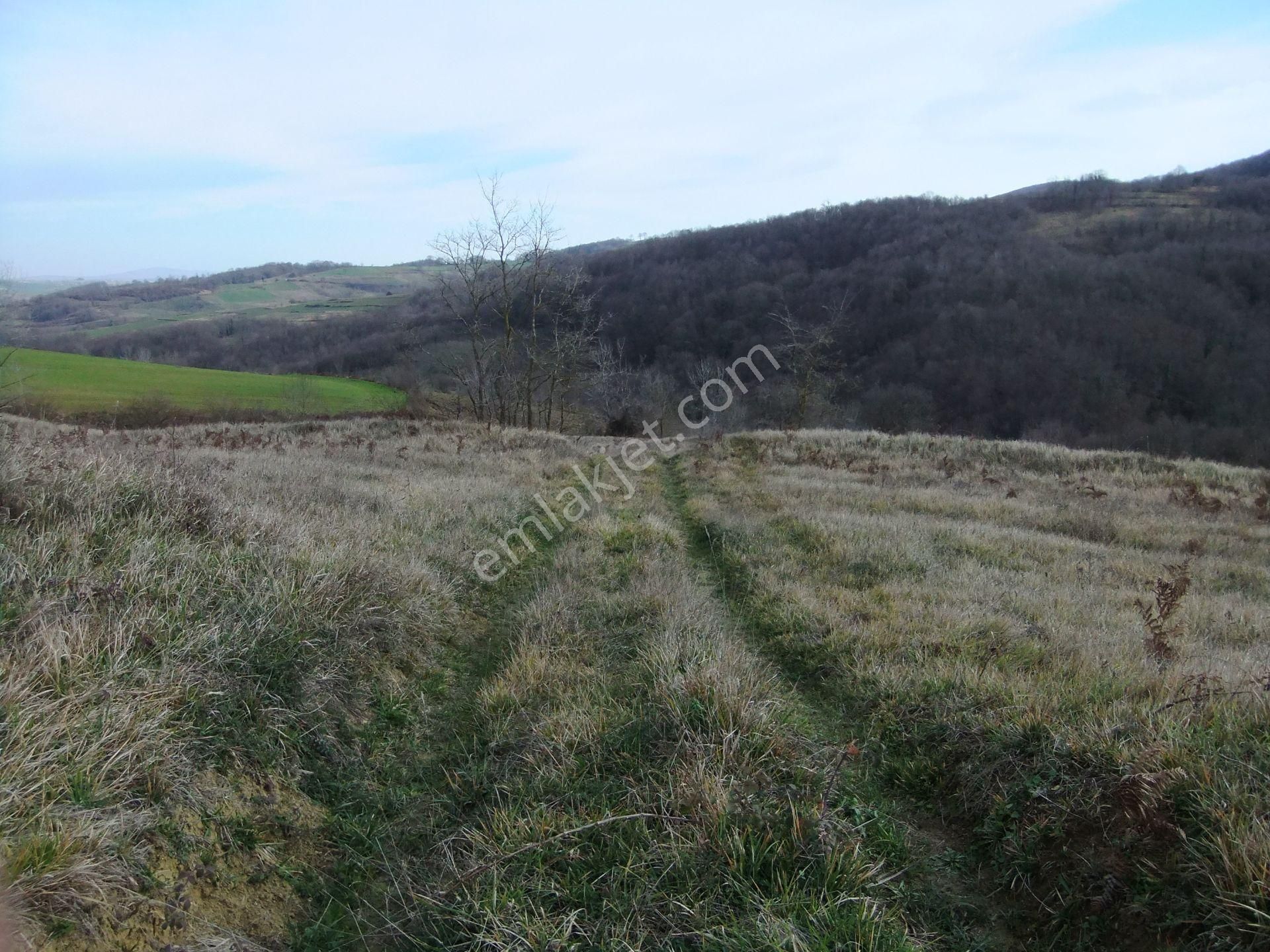 Kandıra/ahmethacılar Köyünde Yatırımlık 2 Adet Tarla. - Görsel 23