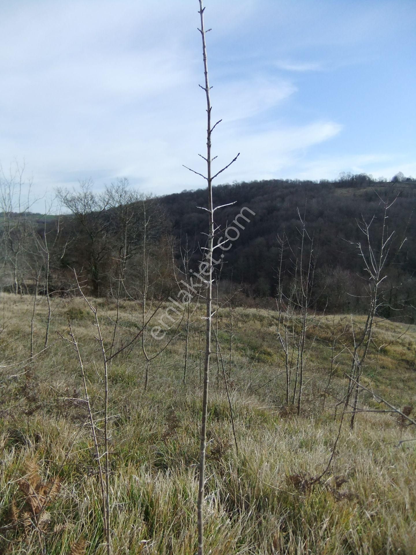 Kandıra/ahmethacılar Köyünde Yatırımlık 2 Adet Tarla. - Görsel 12