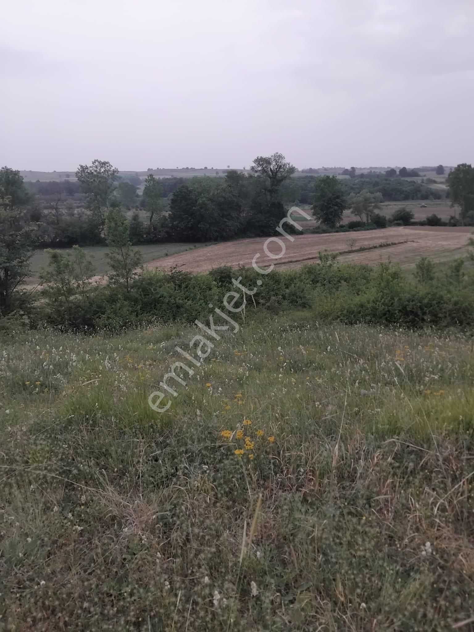 Kandıra/ahmethacılar Köyünde Yatırımlık 2 Adet Tarla. - Görsel 10