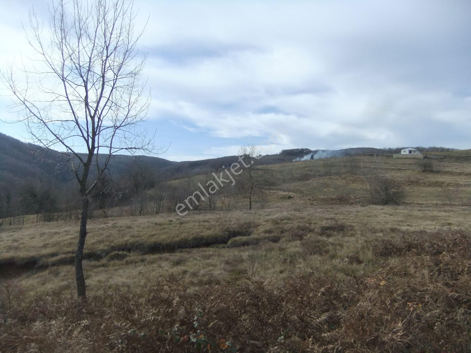 Kandıra/ahmethacılar Köyünde Yatırımlık 2 Adet Tarla. - Görsel 19