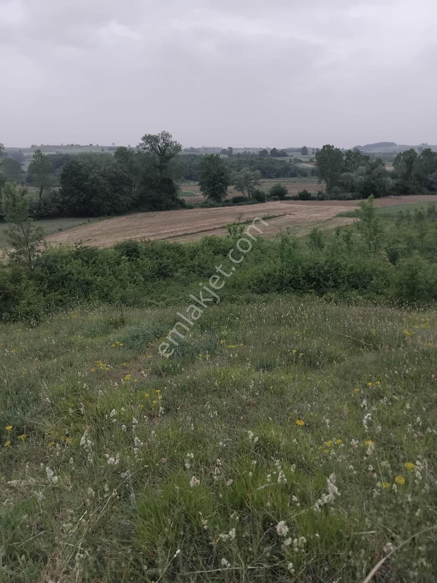Kandıra/ahmethacılar Köyünde Yatırımlık 2 Adet Tarla. - Görsel 11