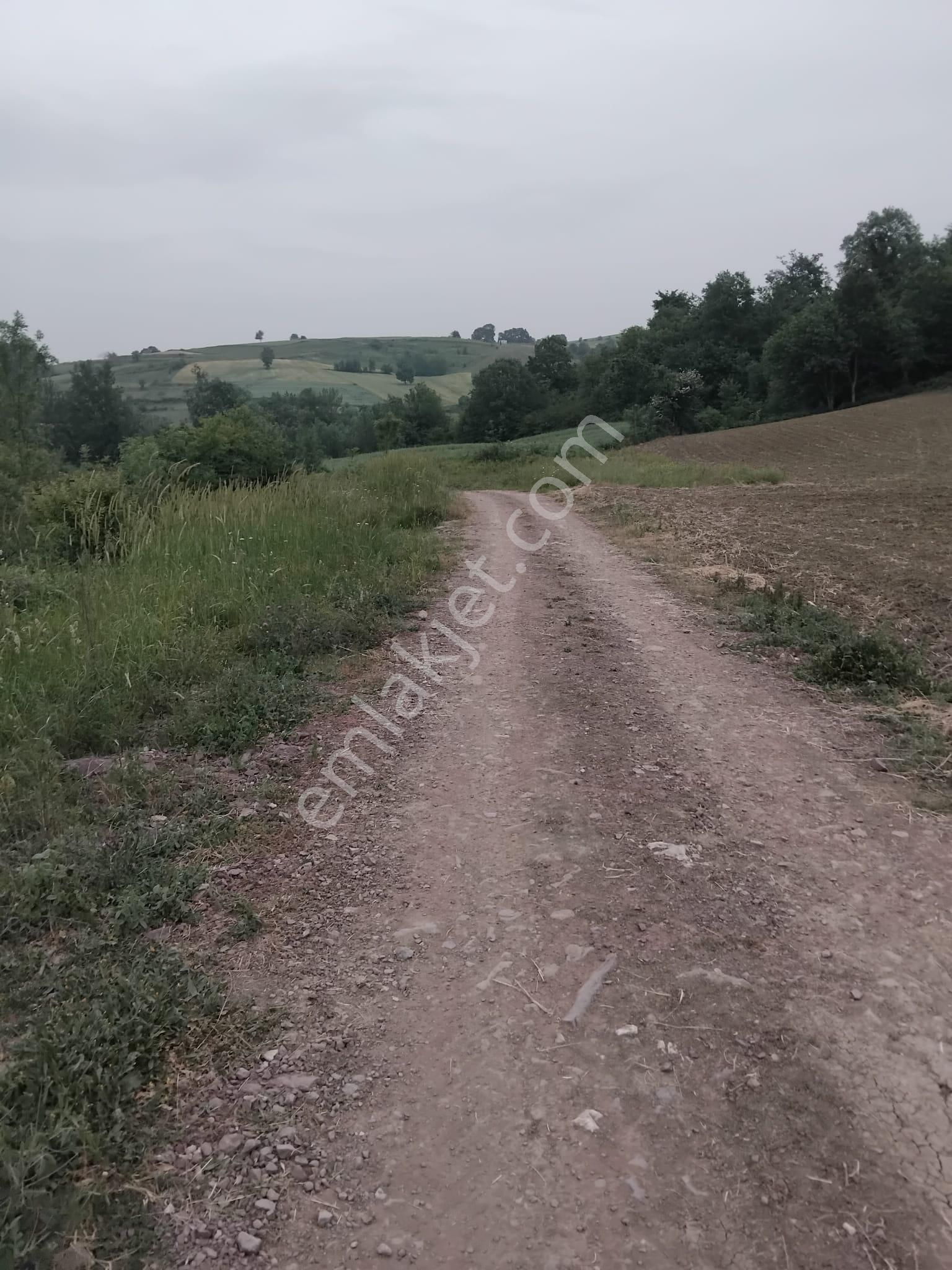 Kandıra/ahmethacılar Köyünde Yatırımlık 2 Adet Tarla. - Görsel 6