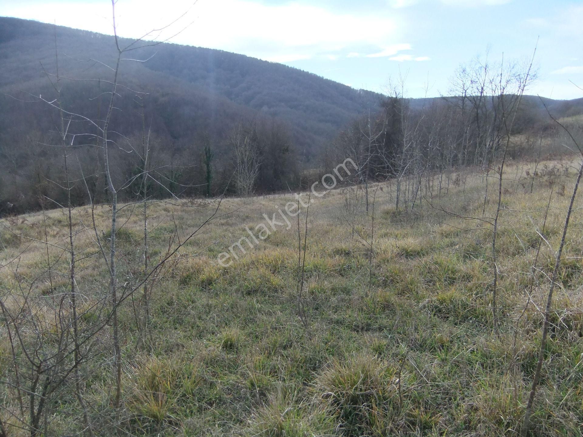 Kandıra/ahmethacılar Köyünde Yatırımlık 2 Adet Tarla. - Görsel 24
