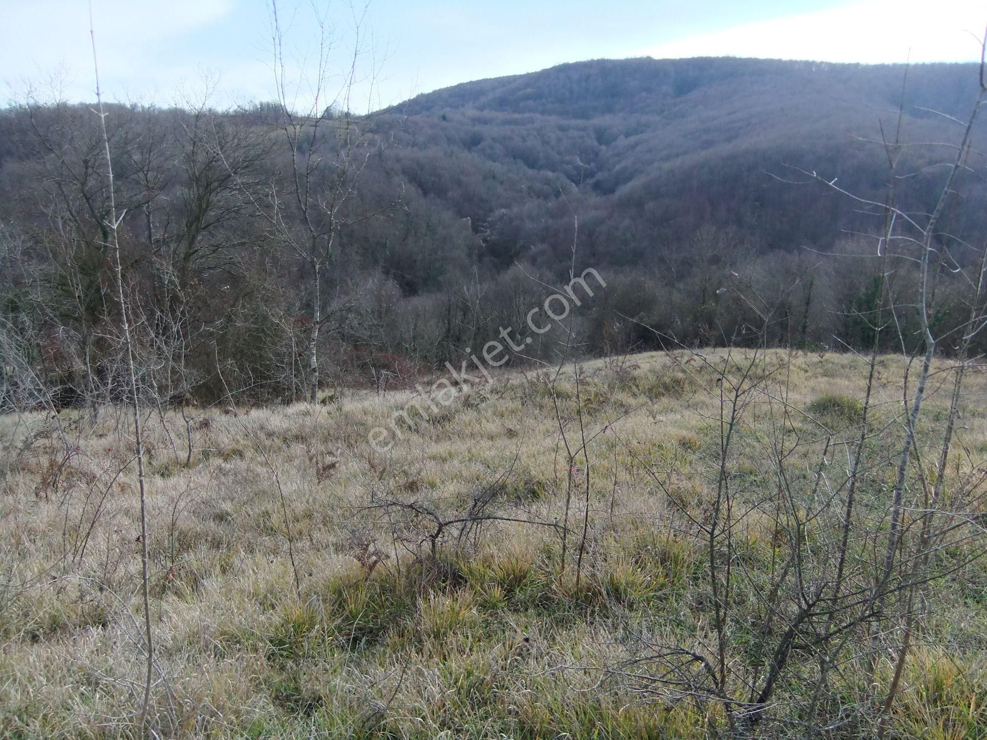 Kandıra/ahmethacılar Köyünde Yatırımlık 2 Adet Tarla. - Görsel 25