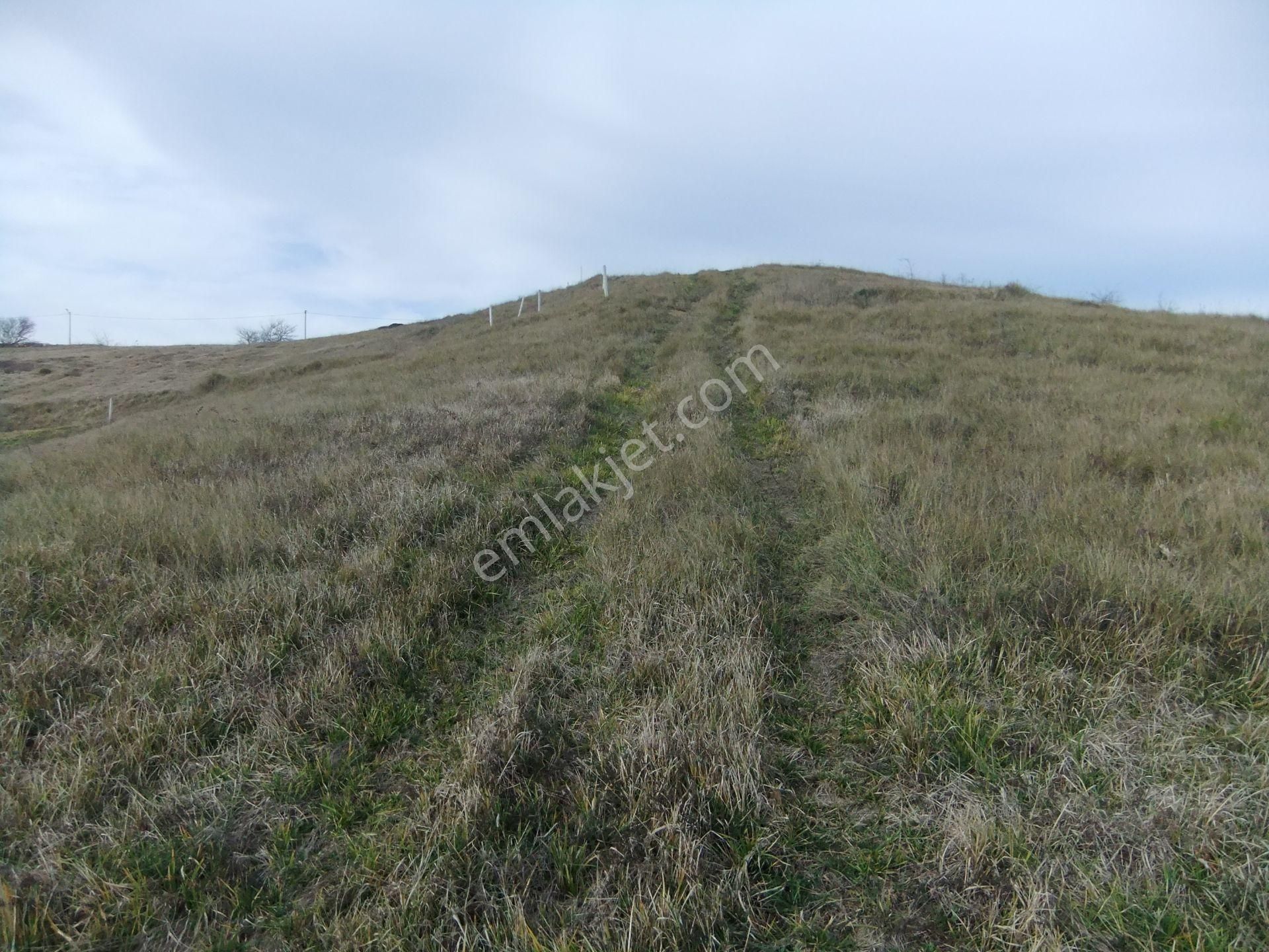 Kandıra/ahmethacılar Köyünde Yatırımlık 2 Adet Tarla. - Görsel 22