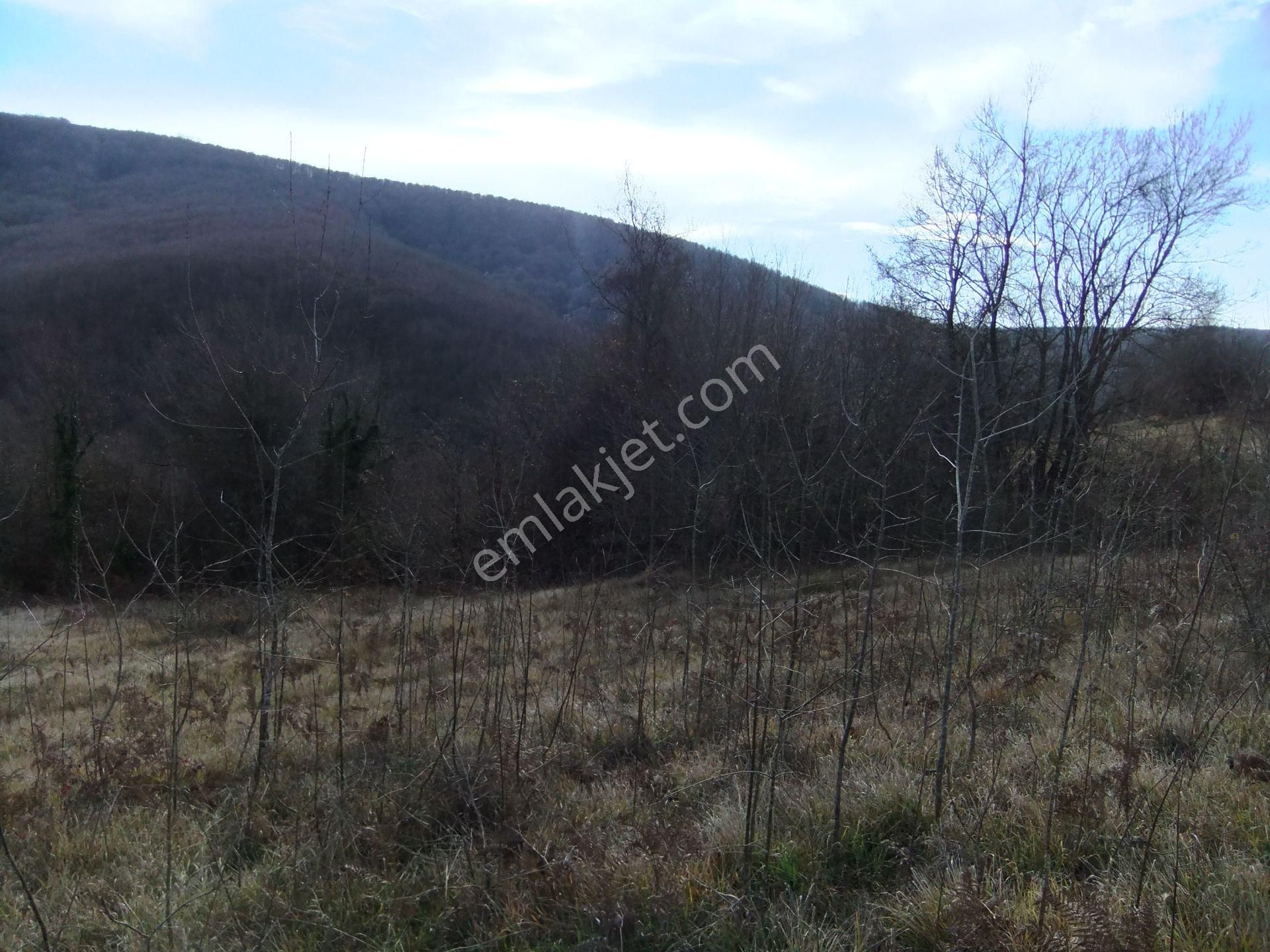 Kandıra/ahmethacılar Köyünde Yatırımlık 2 Adet Tarla. - Görsel 30
