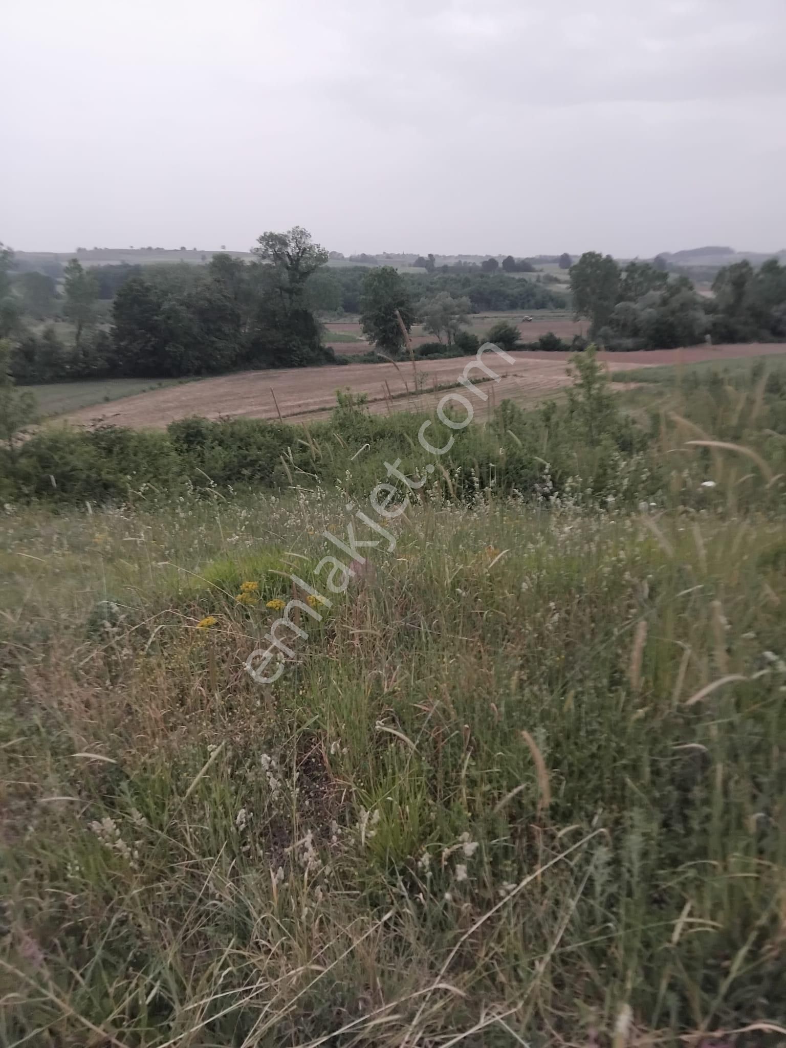 Kandıra/ahmethacılar Köyünde Yatırımlık 2 Adet Tarla.