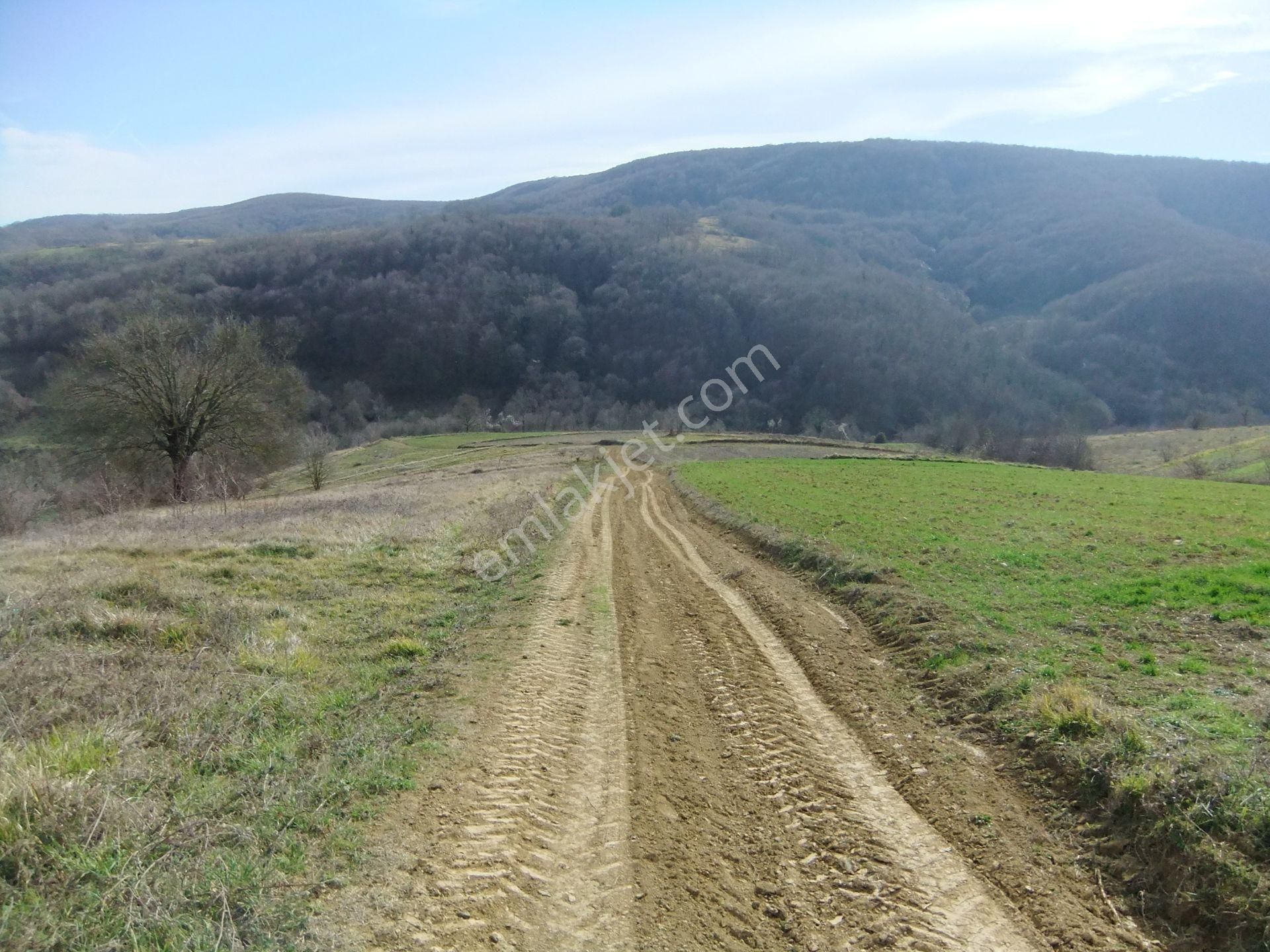 Kandıra/ahmethacılar Köyünde Yatırımlık 2 Adet Tarla. - Görsel 13